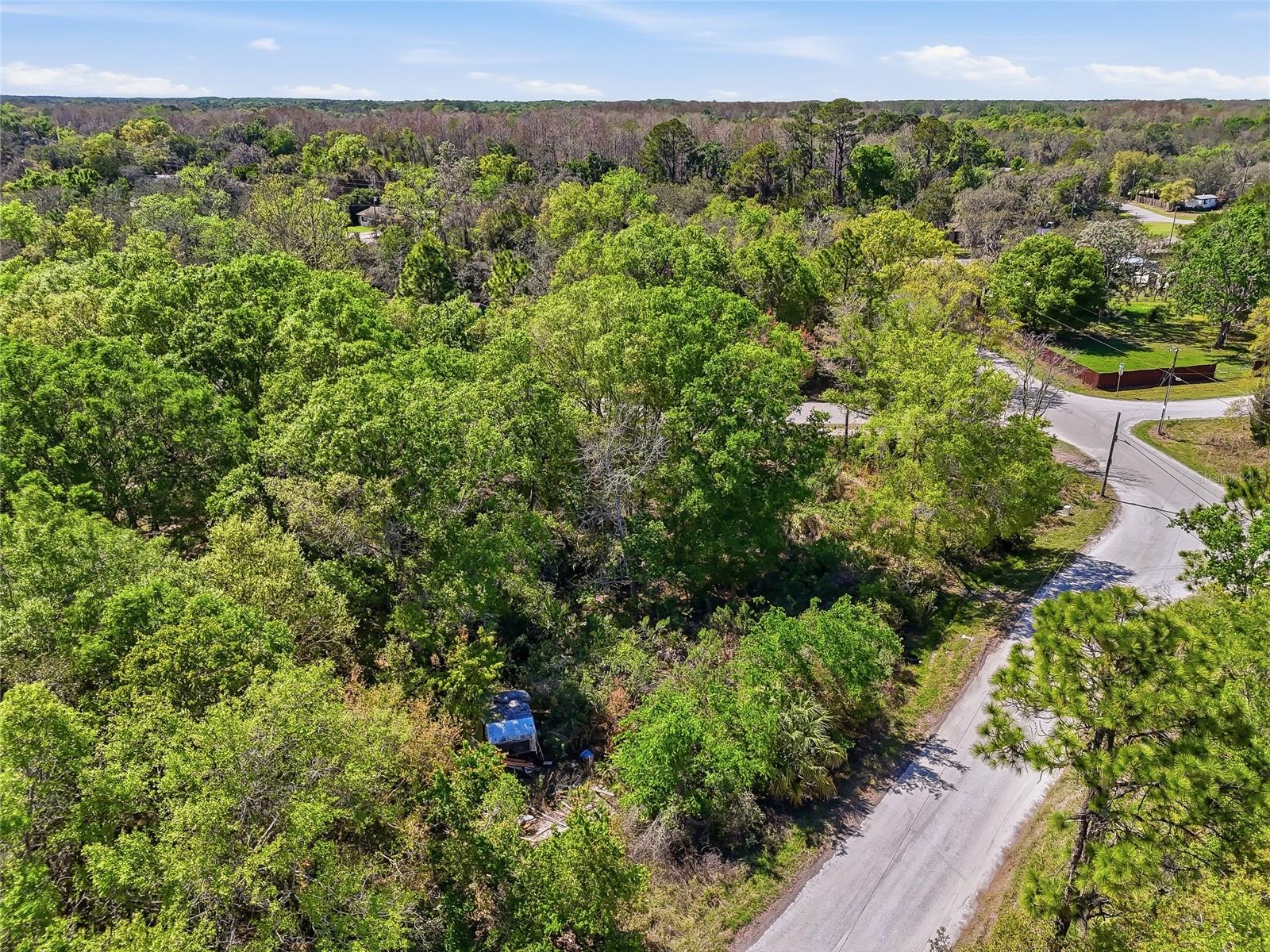 Image 31 of 32 For 100 Fern Street