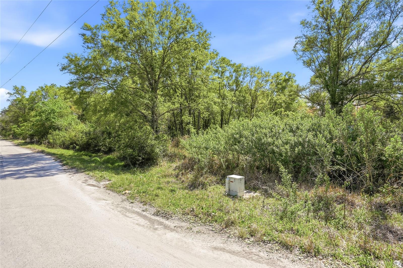 Image 4 of 32 For 100 Fern Street