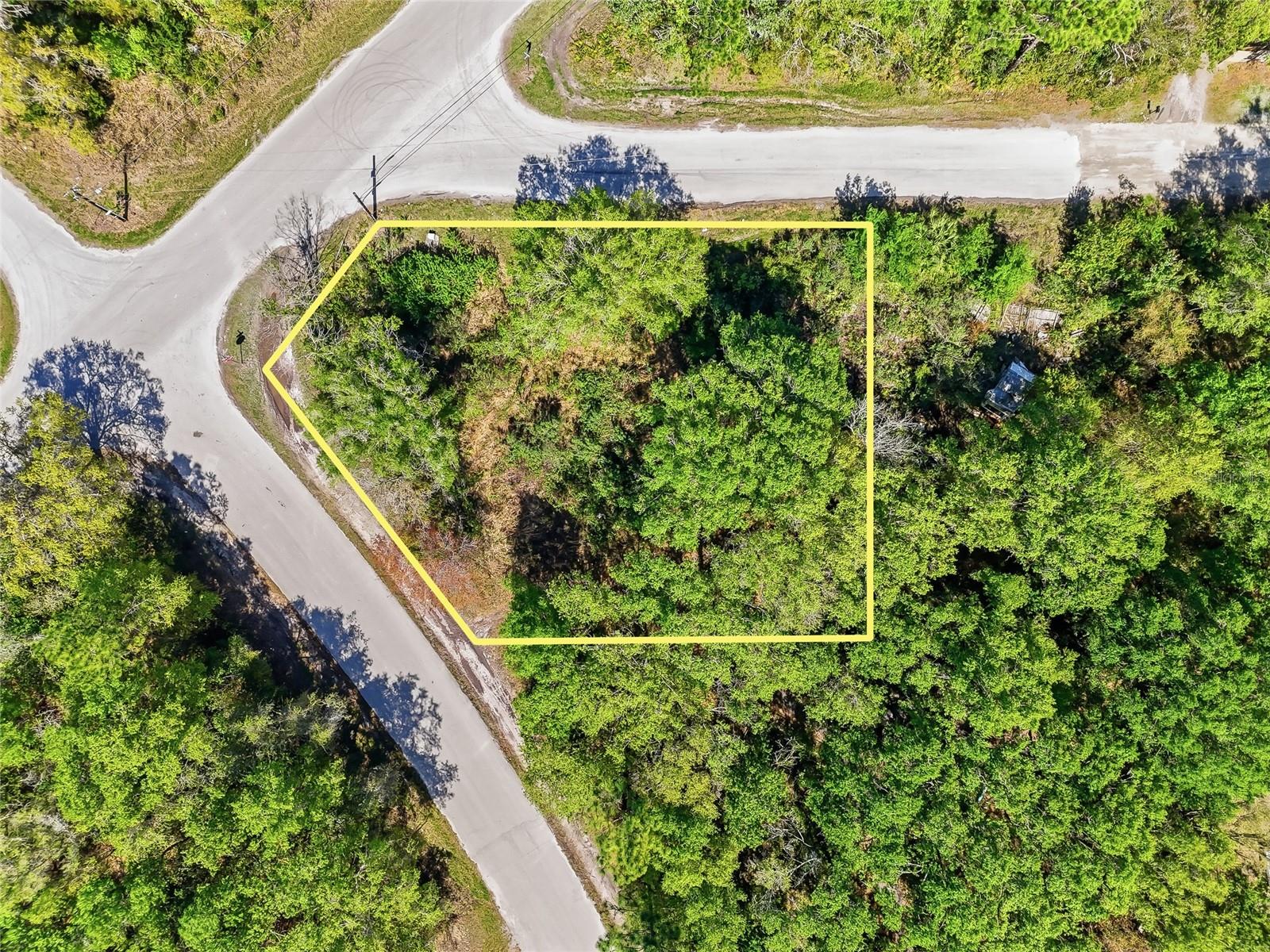 Image 5 of 32 For 100 Fern Street