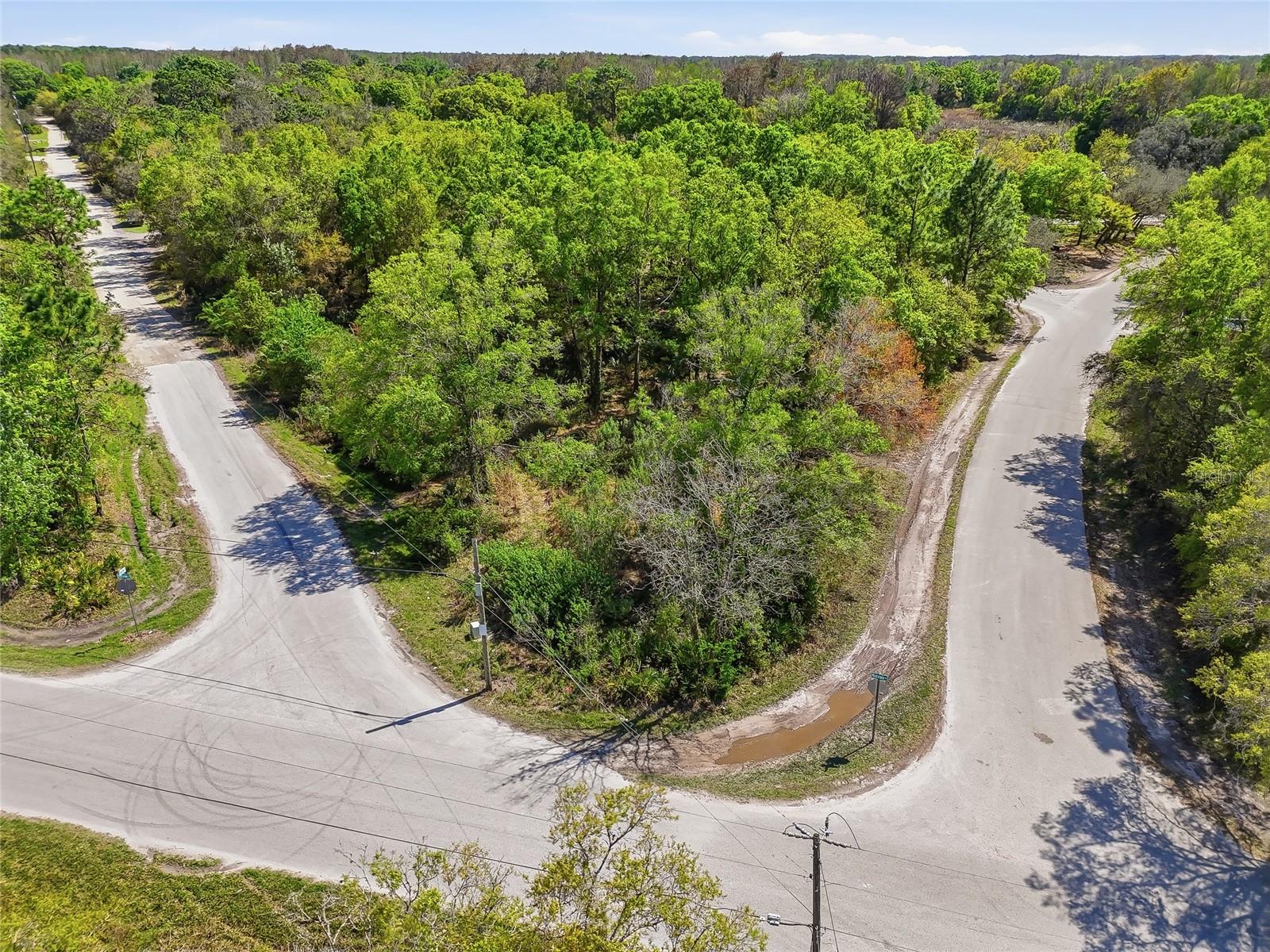 Image 6 of 32 For 100 Fern Street