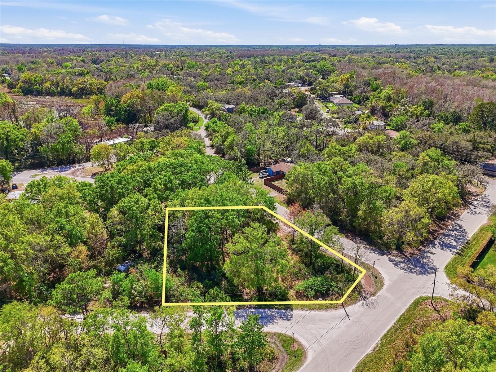 Image 7 of 32 For 100 Fern Street