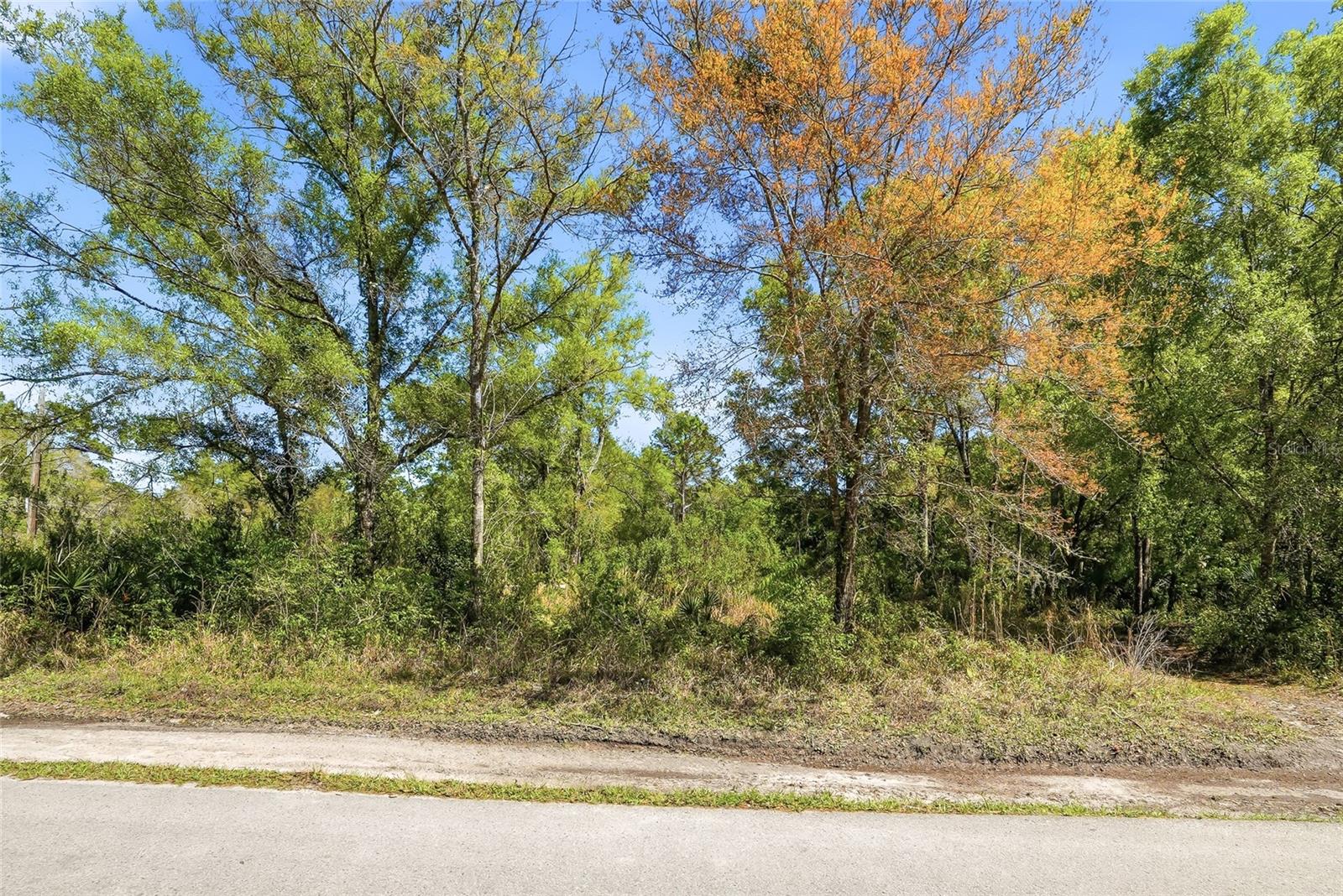 Image 8 of 32 For 100 Fern Street