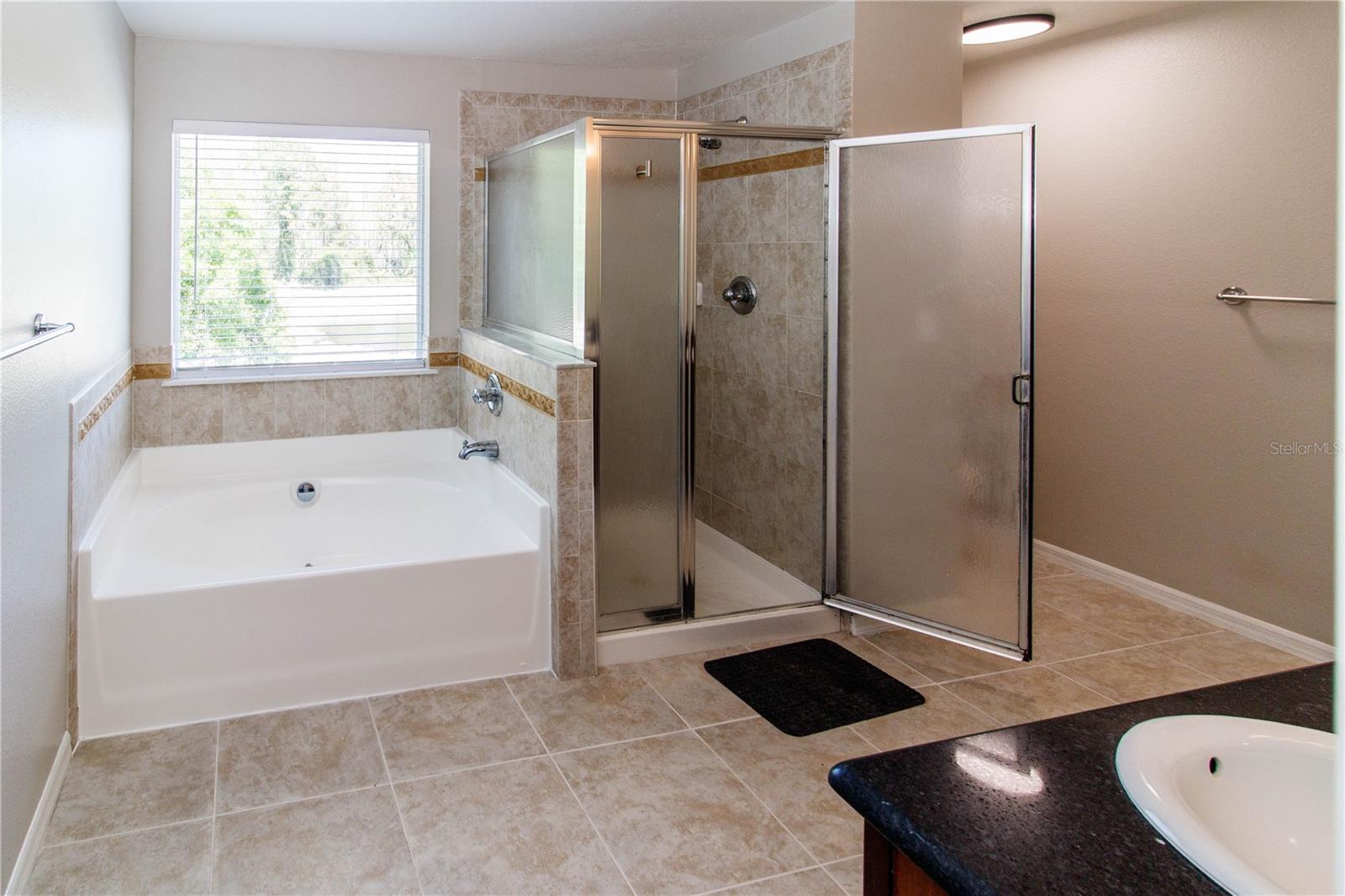 Image 17 of 33 For 11727 Colony Lakes Boulevard