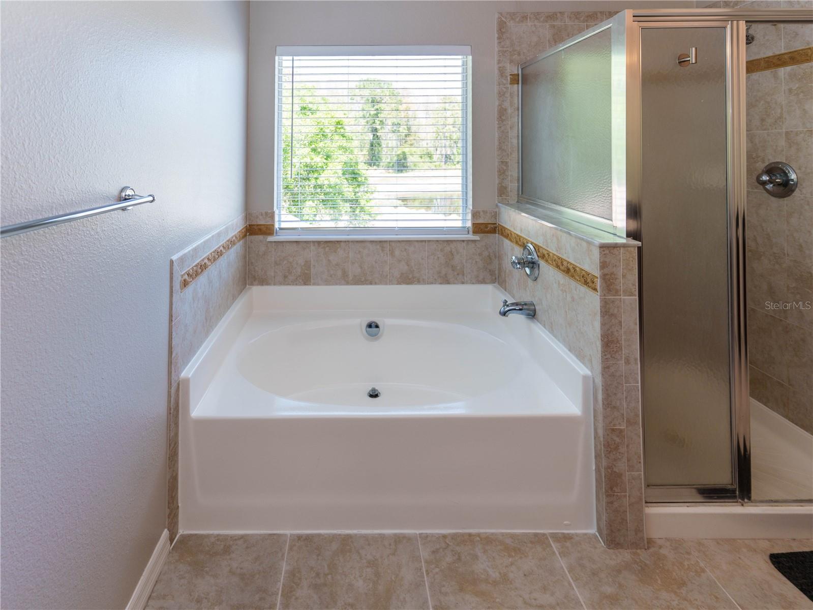 Image 18 of 33 For 11727 Colony Lakes Boulevard