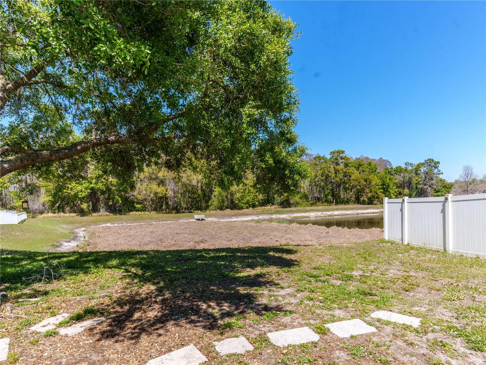 Image 32 of 33 For 11727 Colony Lakes Boulevard