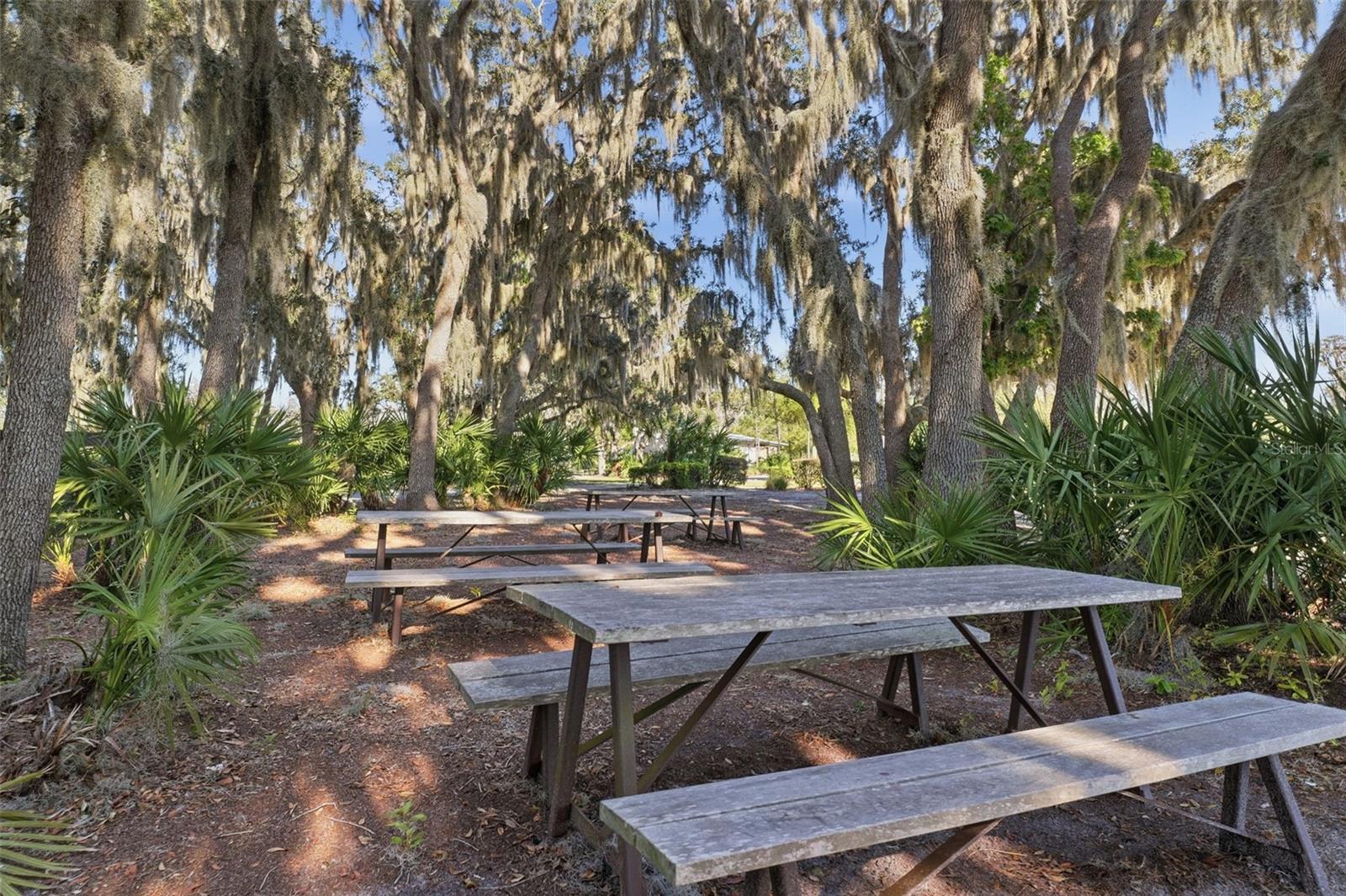 Image 34 of 35 For 4345 Tatum Loop