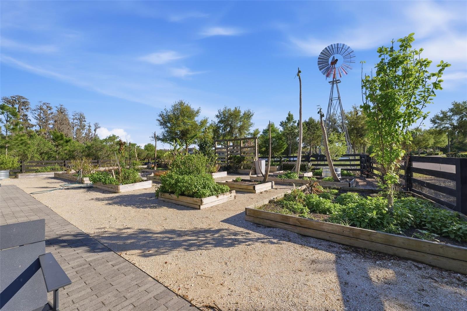 Image 35 of 35 For 4345 Tatum Loop