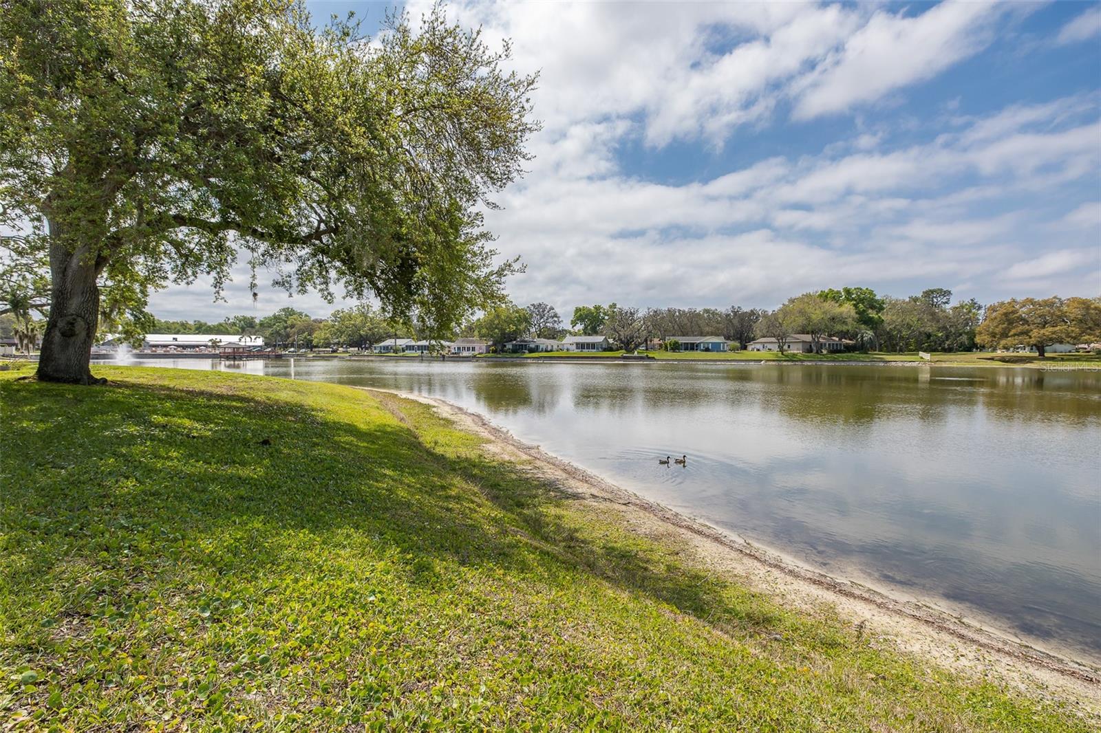 Image 24 of 35 For 8330 Divot Way