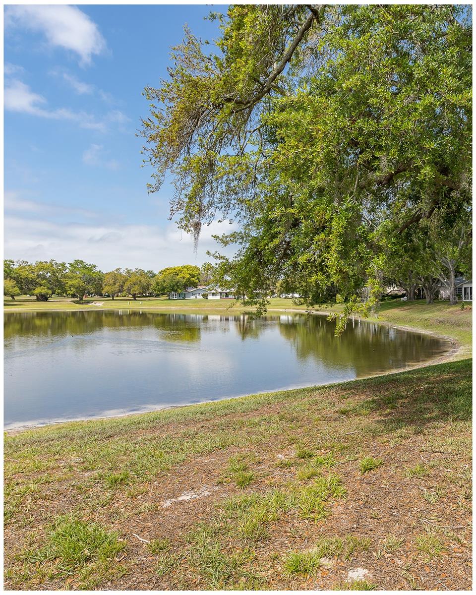 Image 27 of 35 For 8330 Divot Way