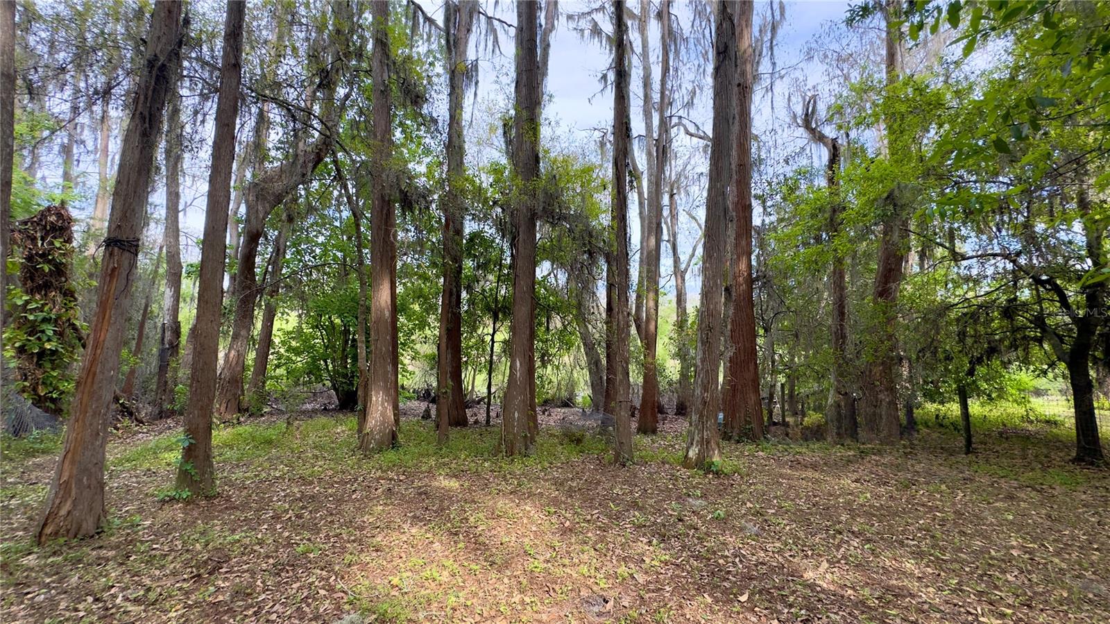 Image 2 of 34 For 12341 Deer Lake Drive