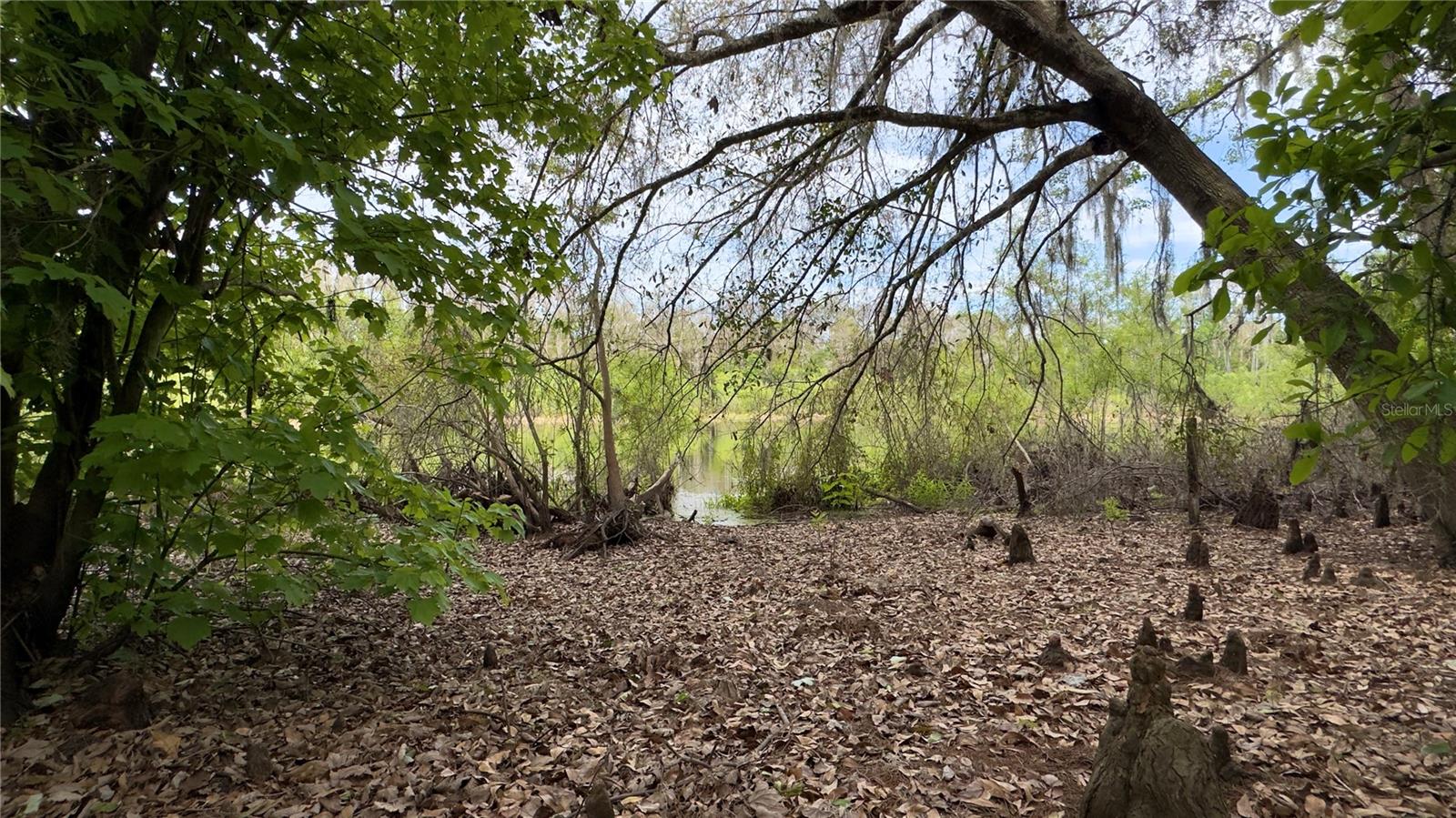 Image 3 of 34 For 12341 Deer Lake Drive