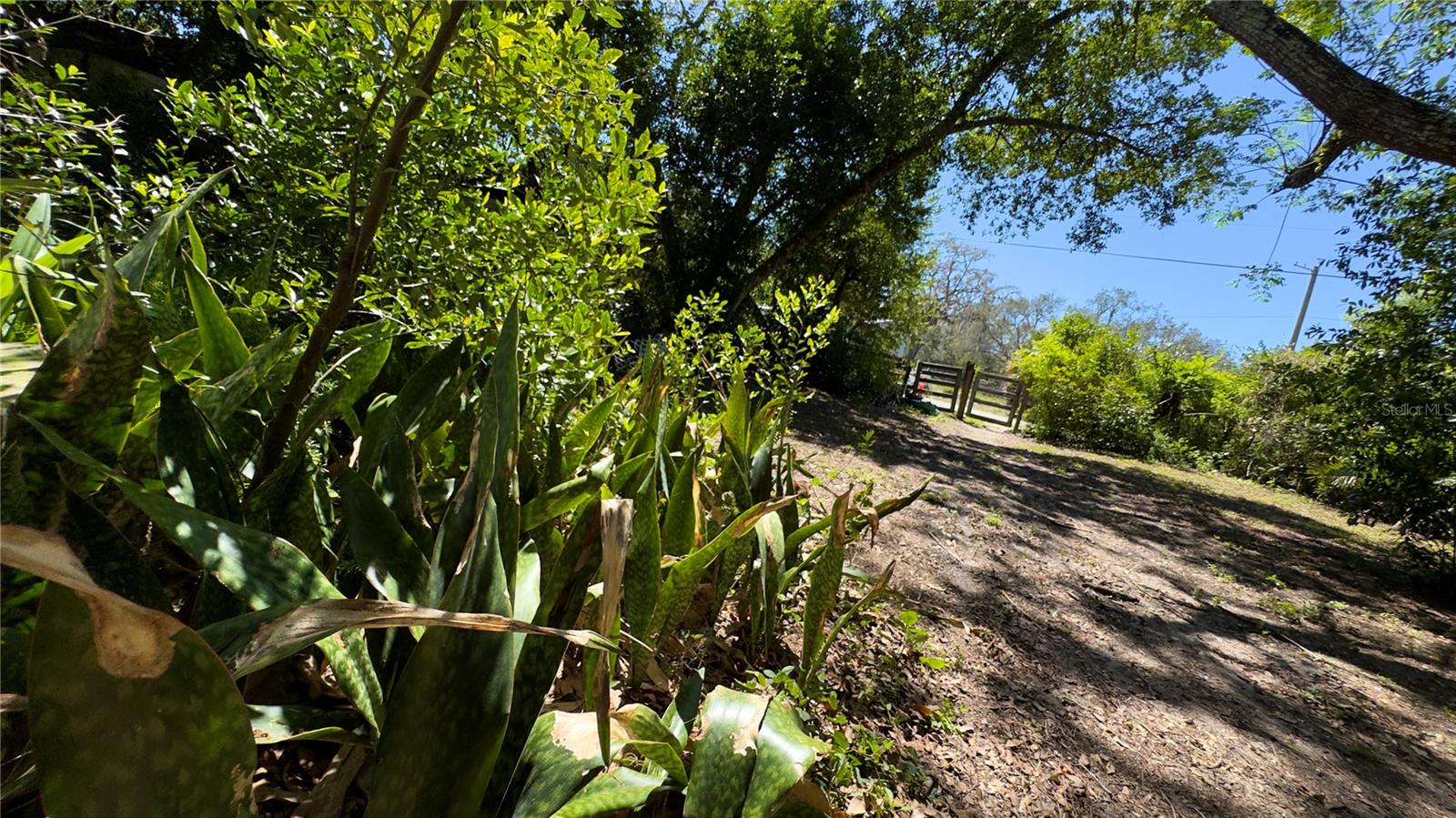 Image 33 of 34 For 12341 Deer Lake Drive