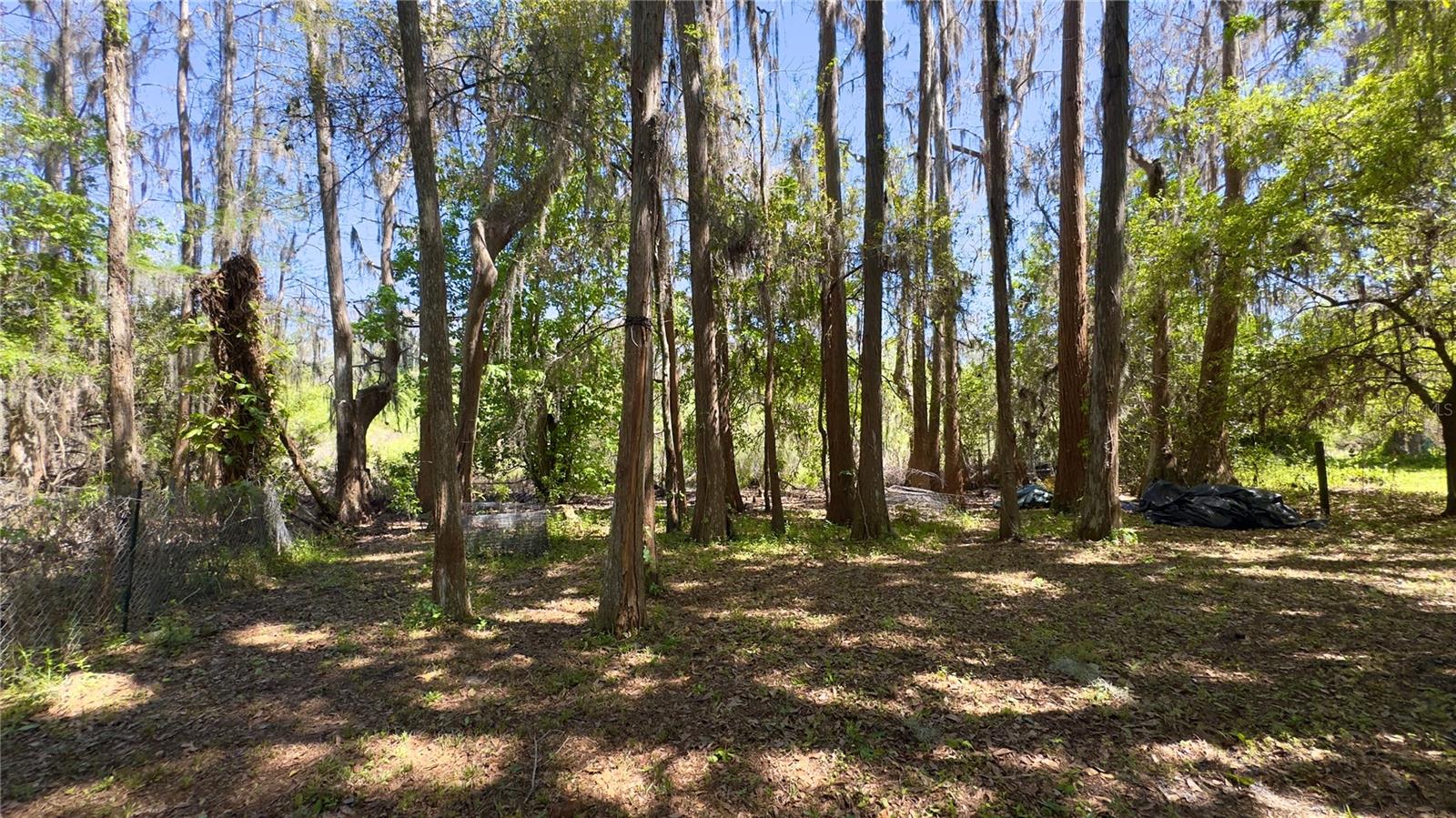 Image 9 of 34 For 12341 Deer Lake Drive