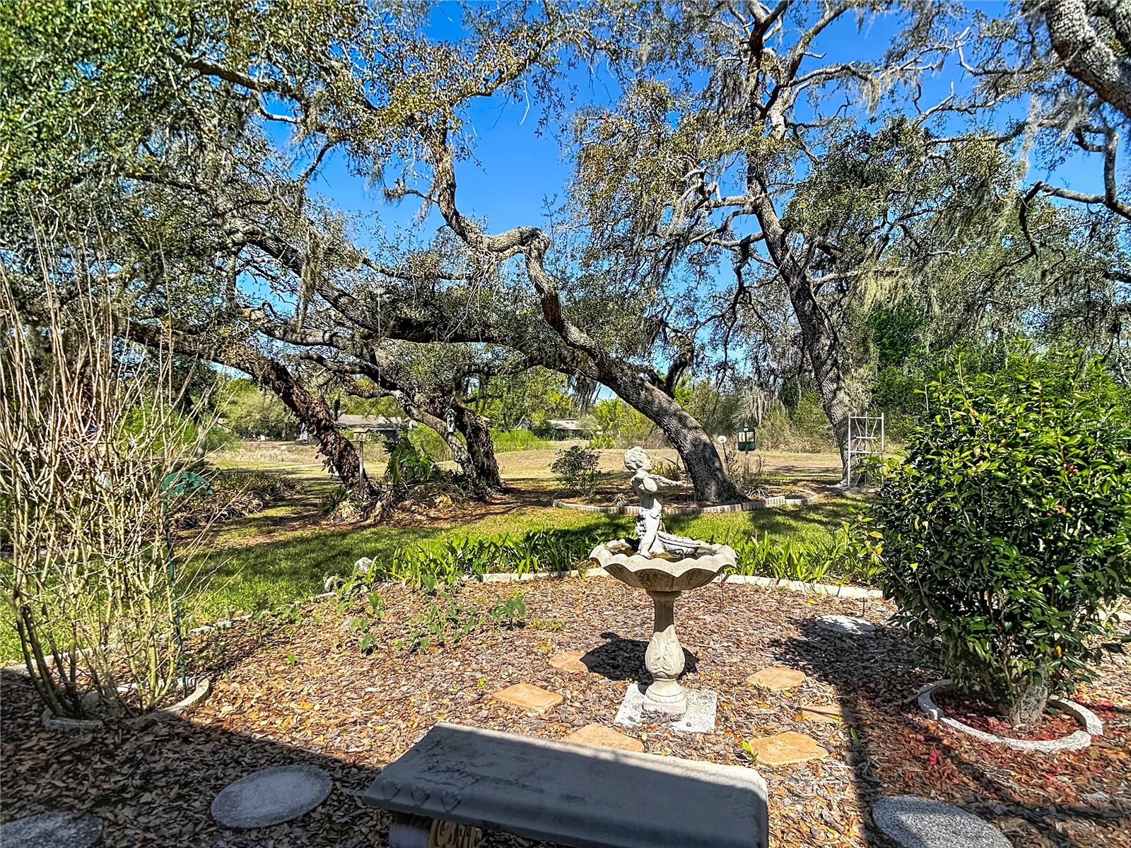 Image 77 of 85 For 34485 Cedarfield Drive