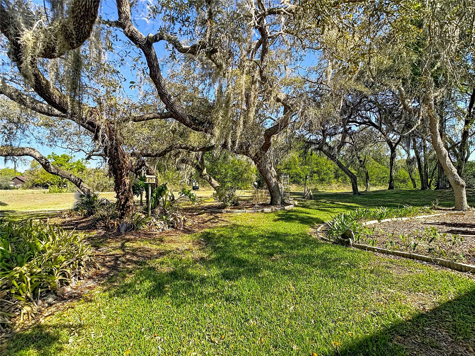 Image 78 of 85 For 34485 Cedarfield Drive