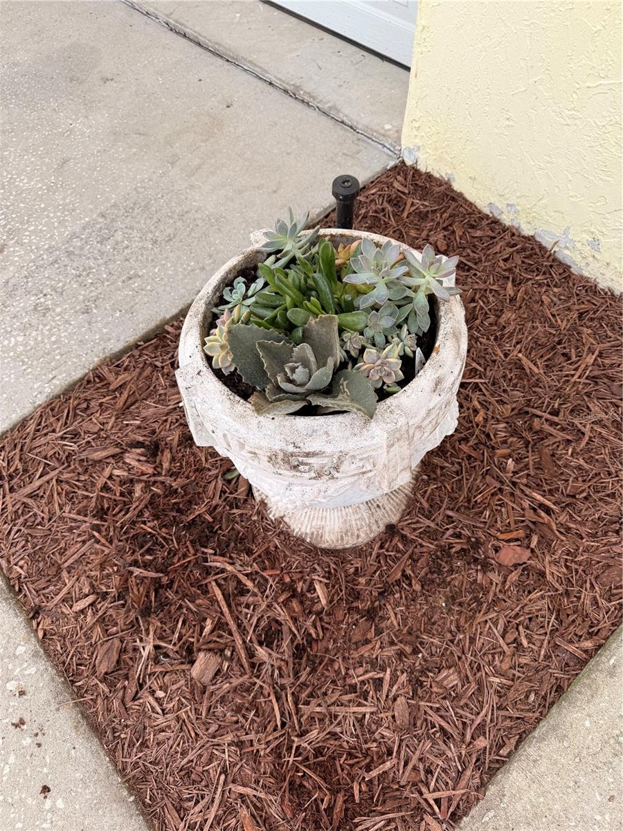 Image 16 of 19 For 1176 Buttonbush Dr