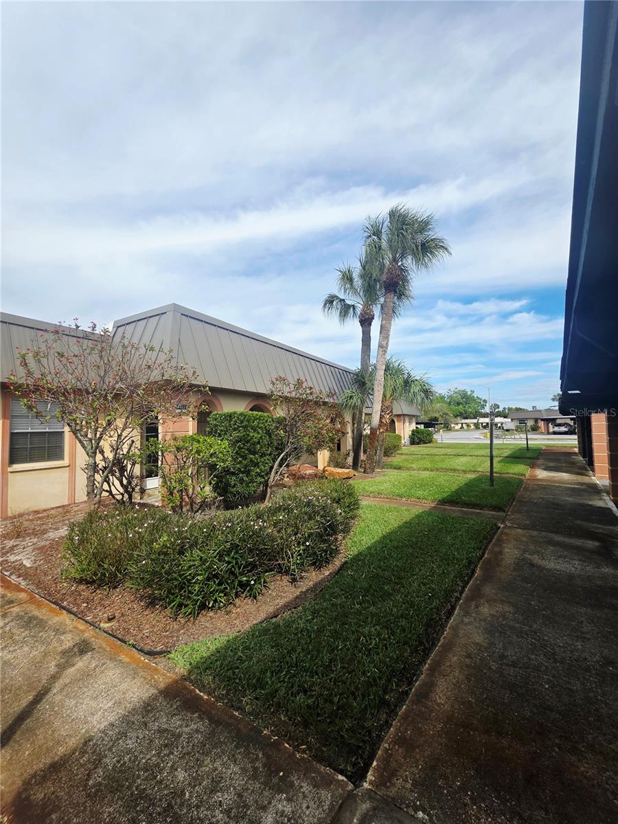 Listing photo id 1 for 4461 Rustic Drive 4461