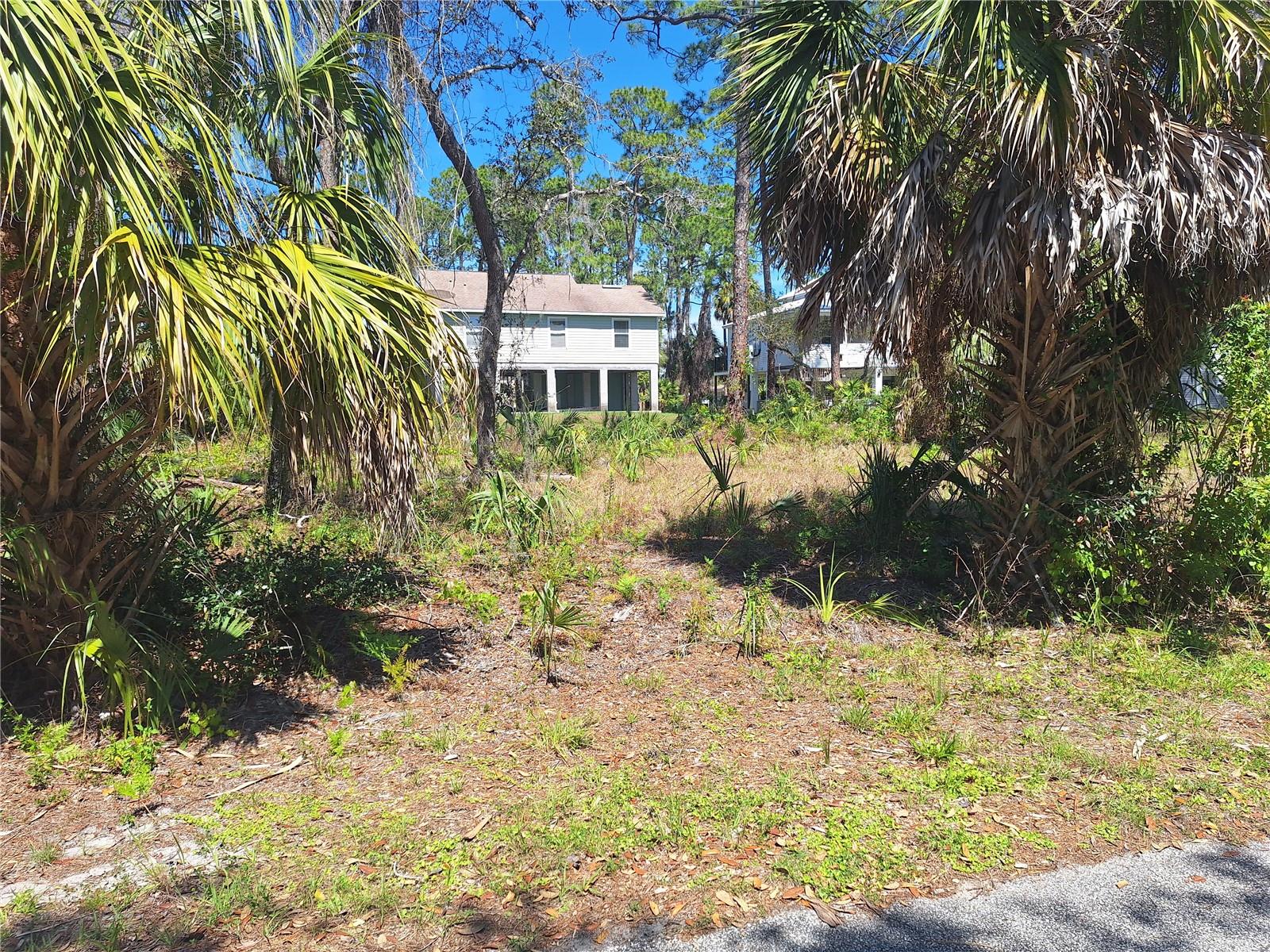 Image 6 of 8 For Driftwood Drive