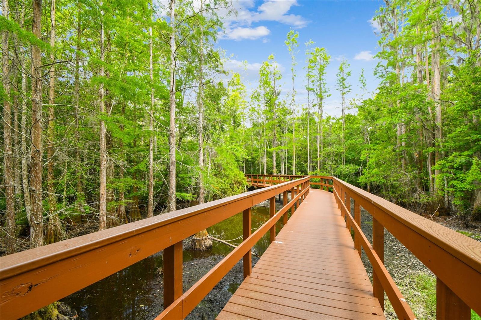 Image 94 of 100 For 21314 Marsh Hawk Drive