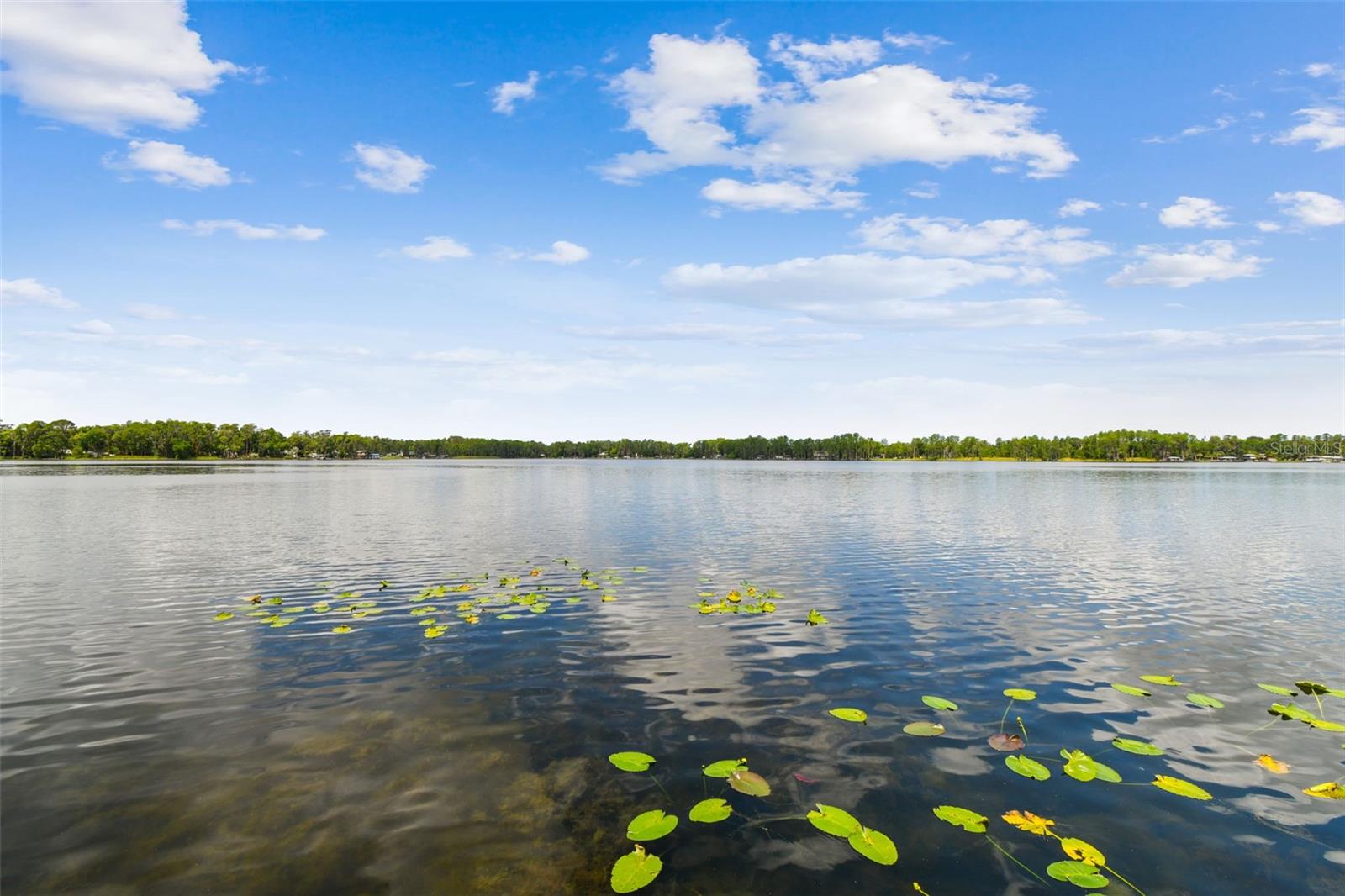 Image 95 of 100 For 21314 Marsh Hawk Drive