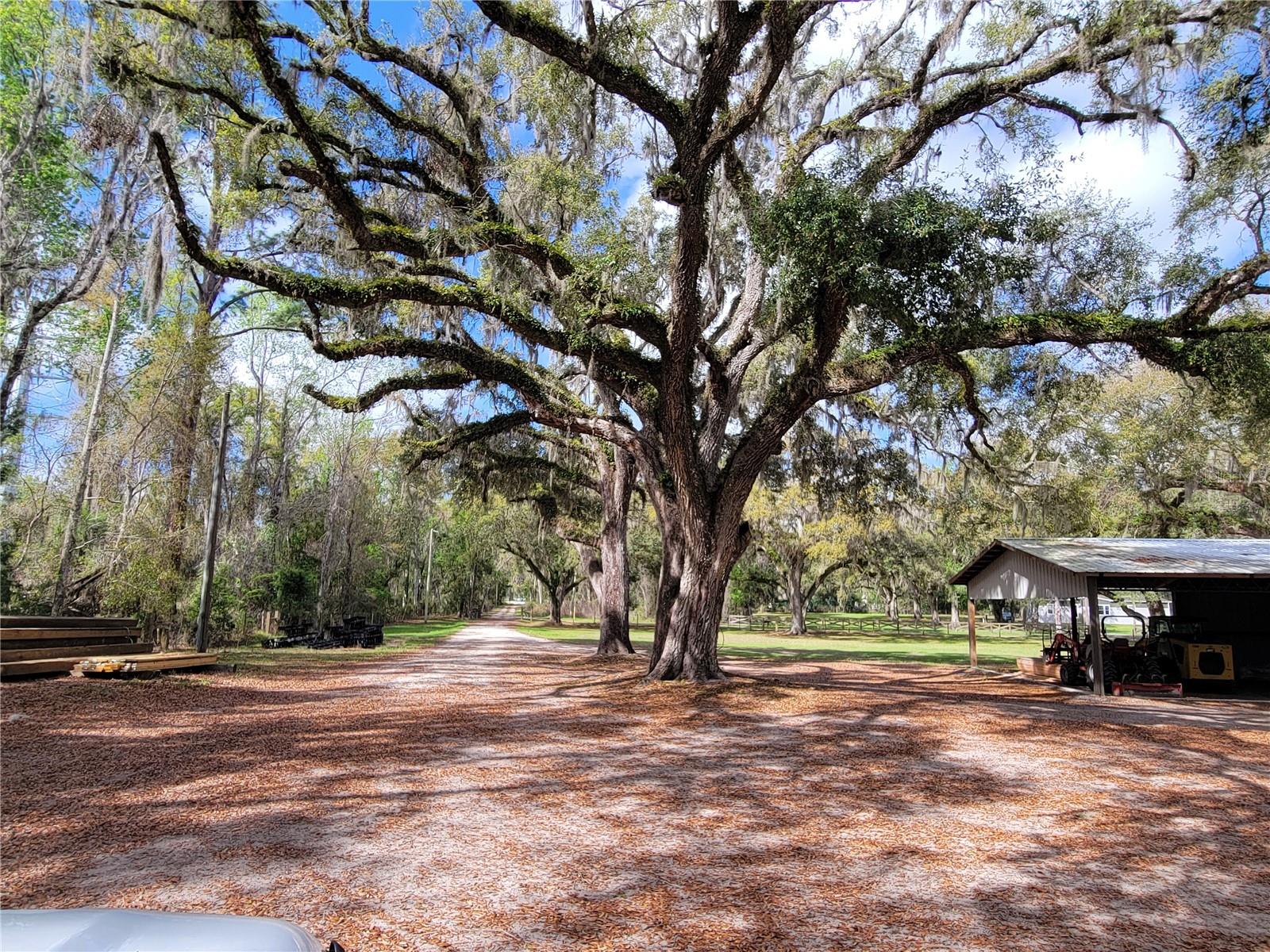 Image 5 of 53 For 22397 Mondon Hill Road