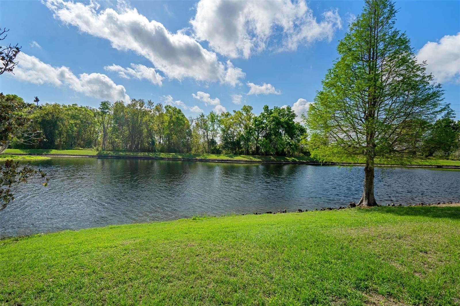 Image 42 of 60 For 31812 Spoonflower Circle