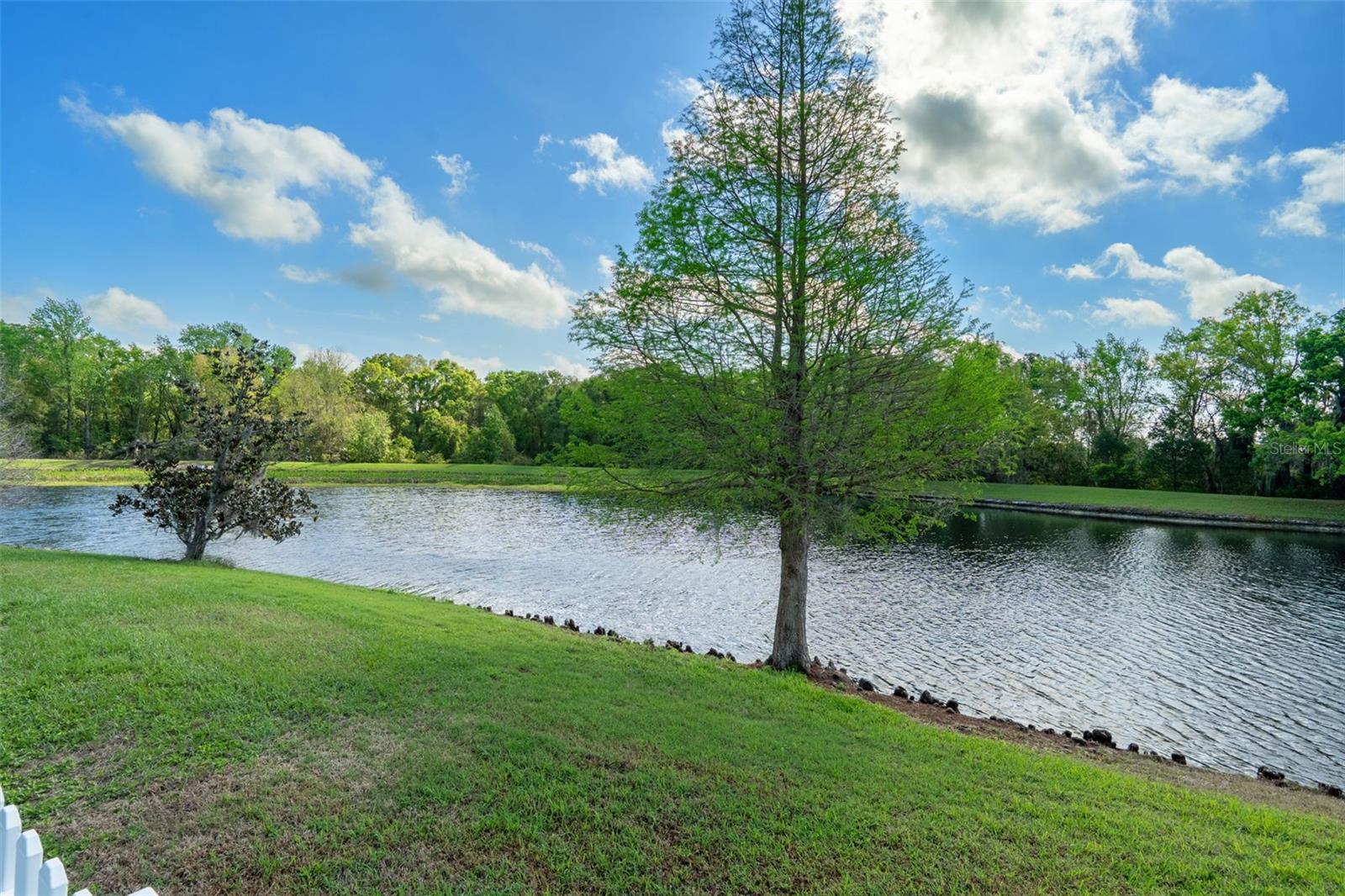 Image 5 of 60 For 31812 Spoonflower Circle