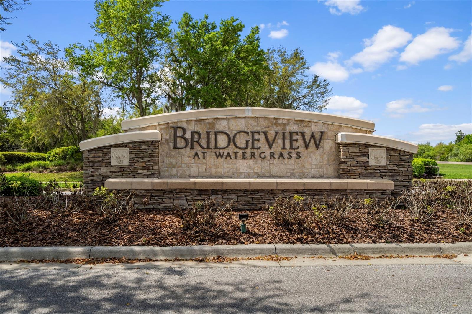 Image 53 of 60 For 31812 Spoonflower Circle