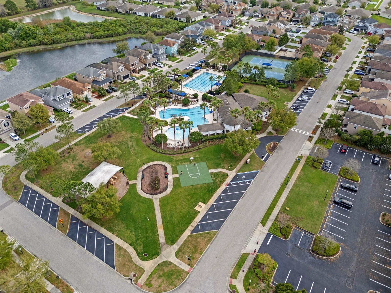 Image 54 of 60 For 31812 Spoonflower Circle