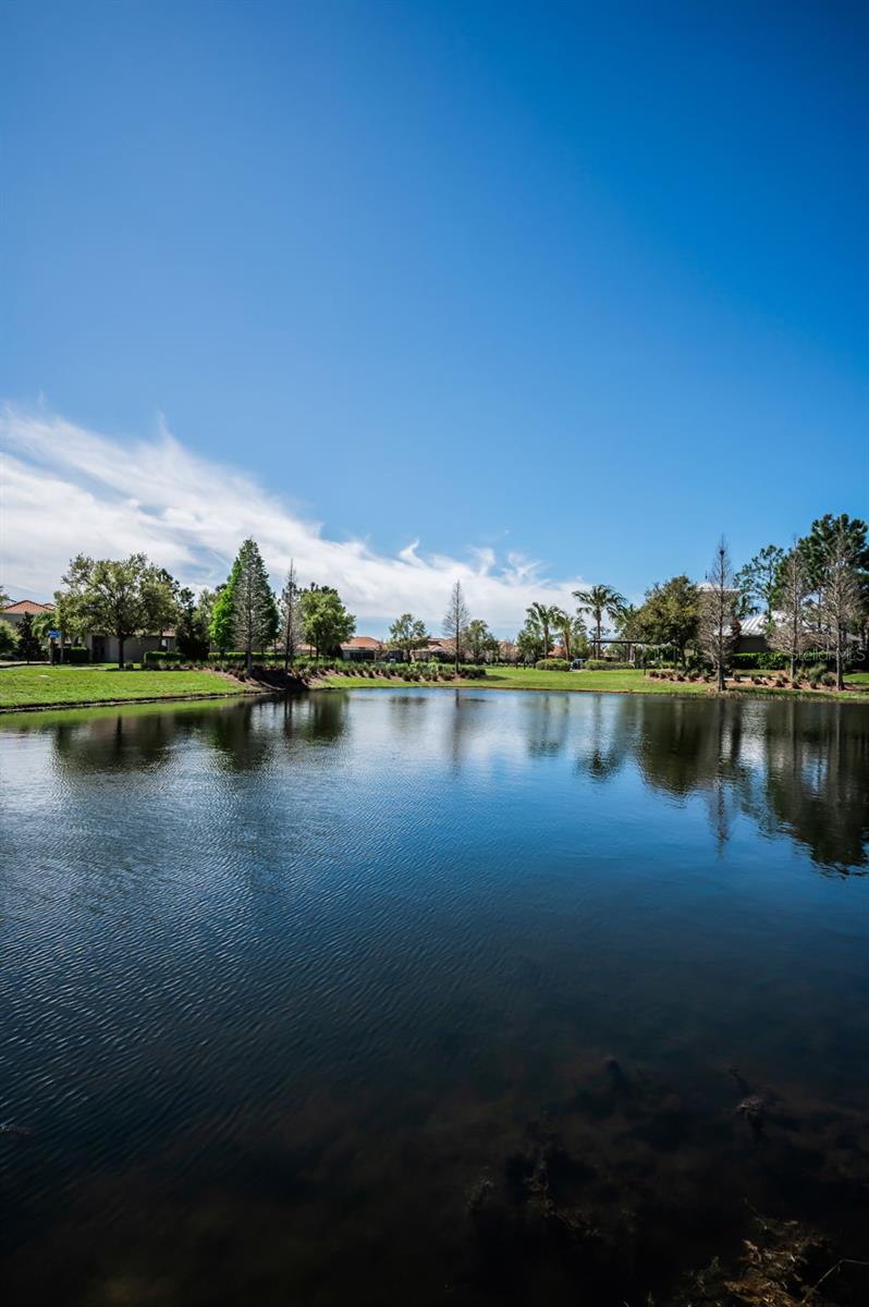 Image 80 of 100 For 11891 Frost Aster Drive