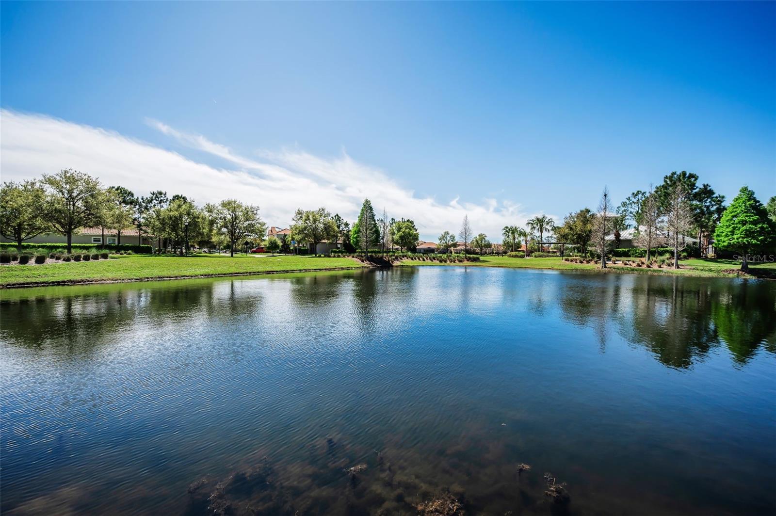 Image 81 of 100 For 11891 Frost Aster Drive