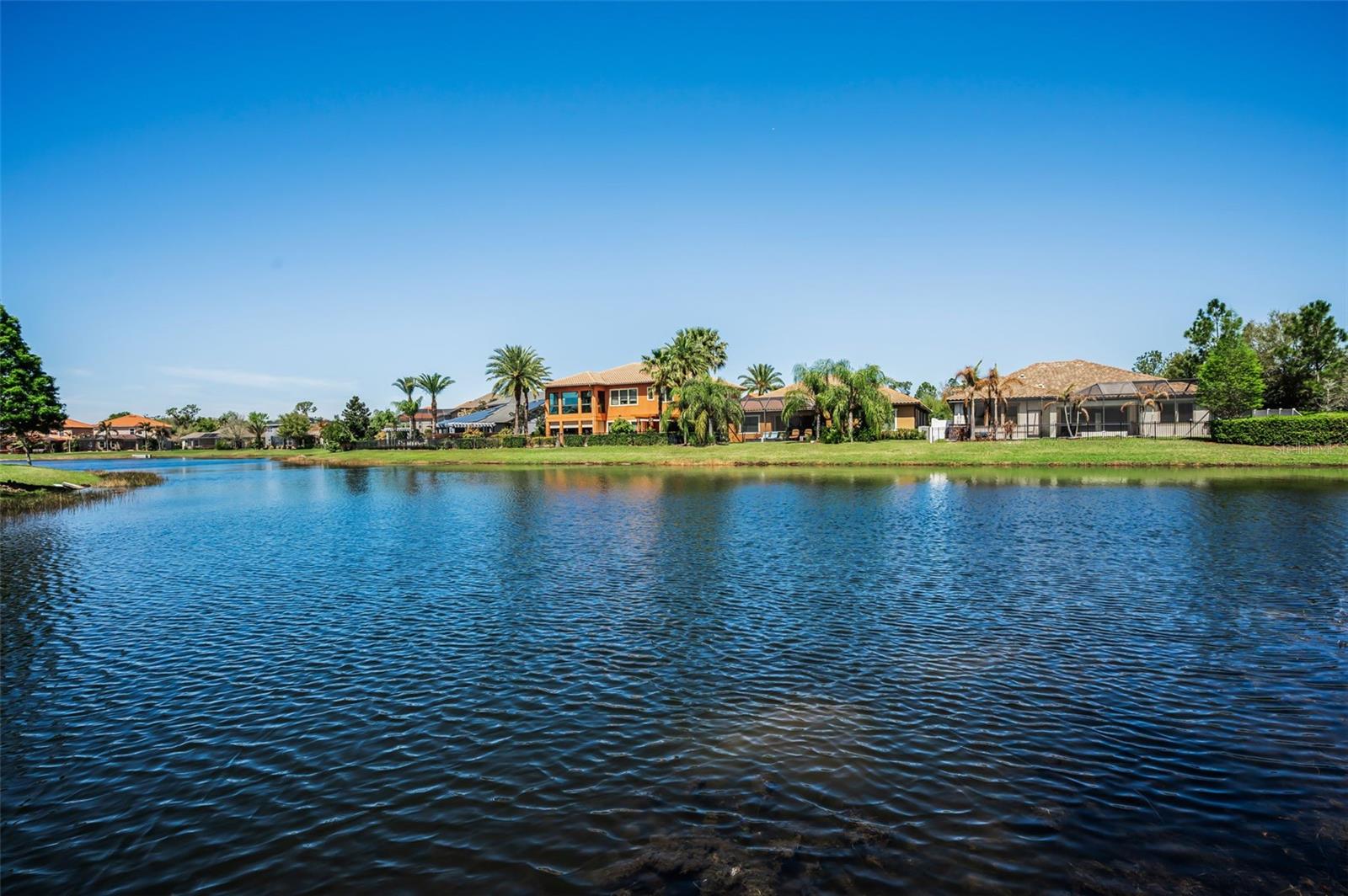 Image 89 of 100 For 11891 Frost Aster Drive