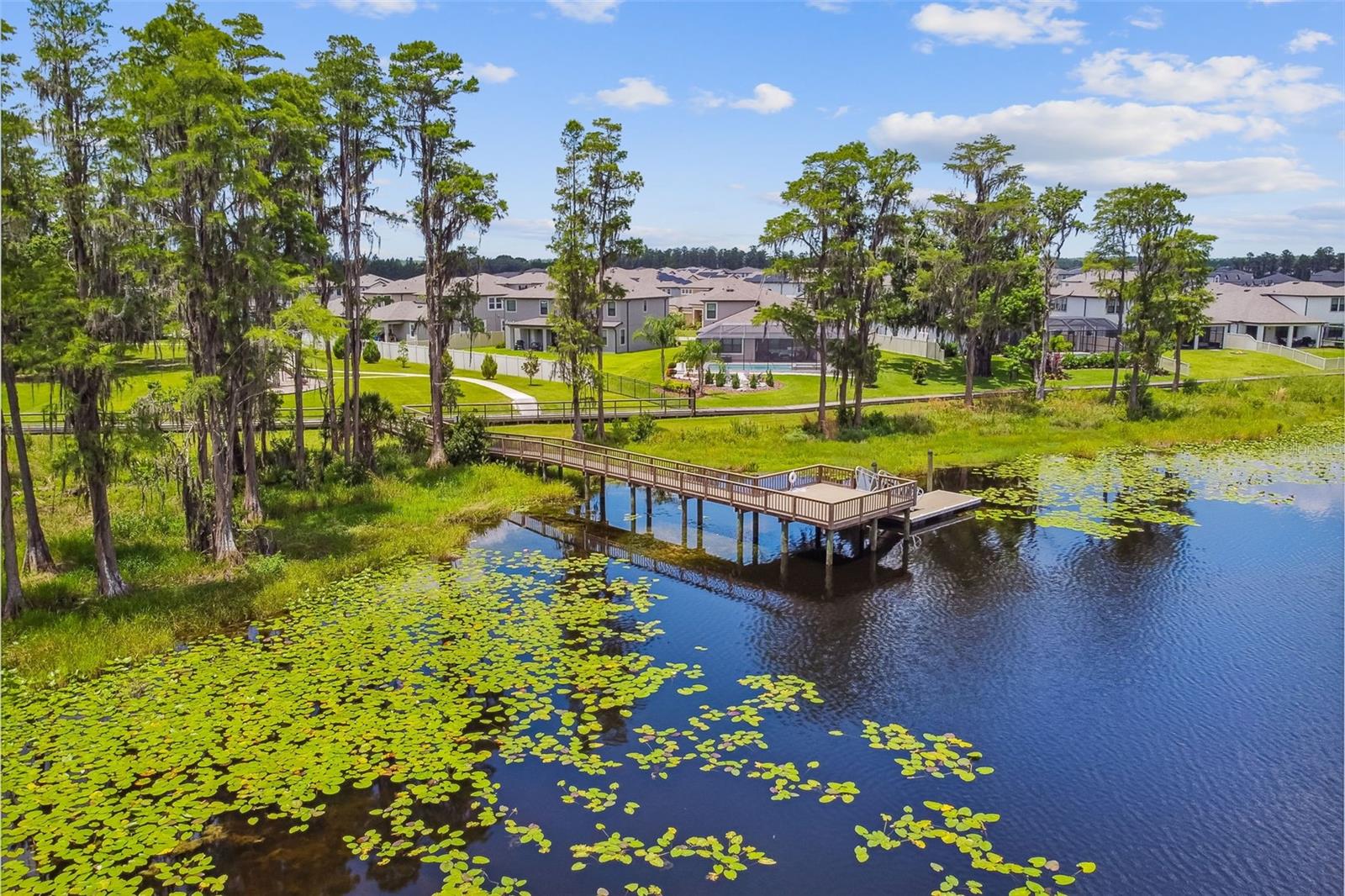 Image 93 of 94 For 19779 Morsani Road