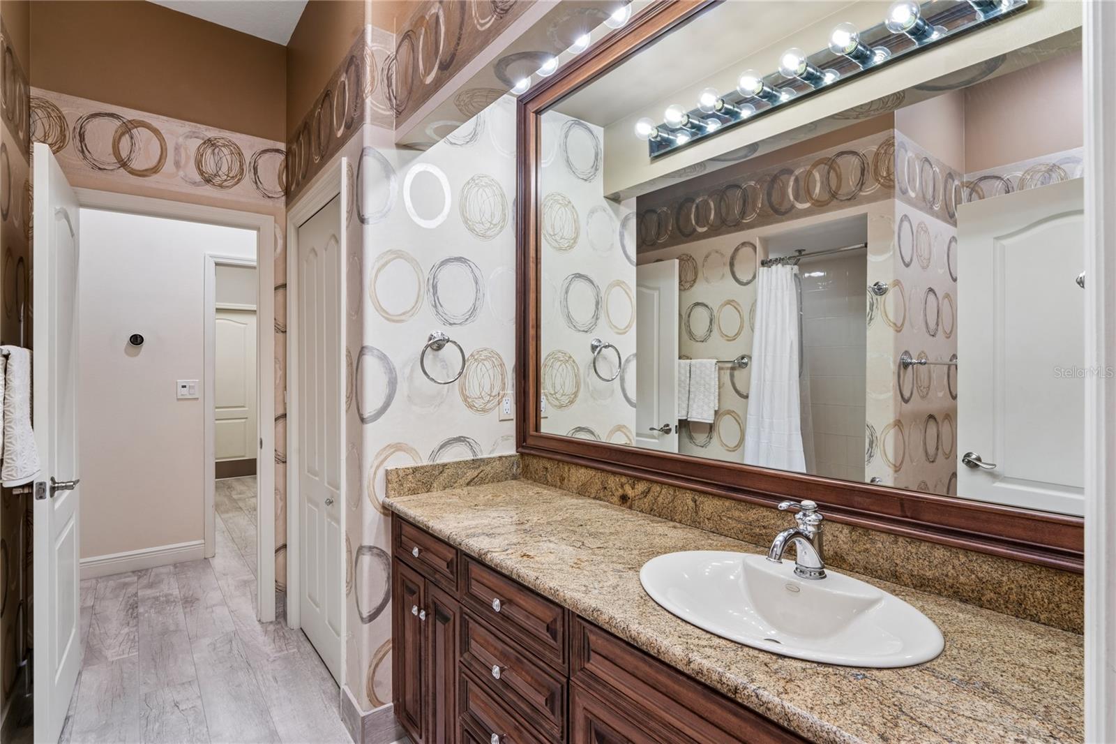 Image 42 of 71 For 10801 Alico Pass