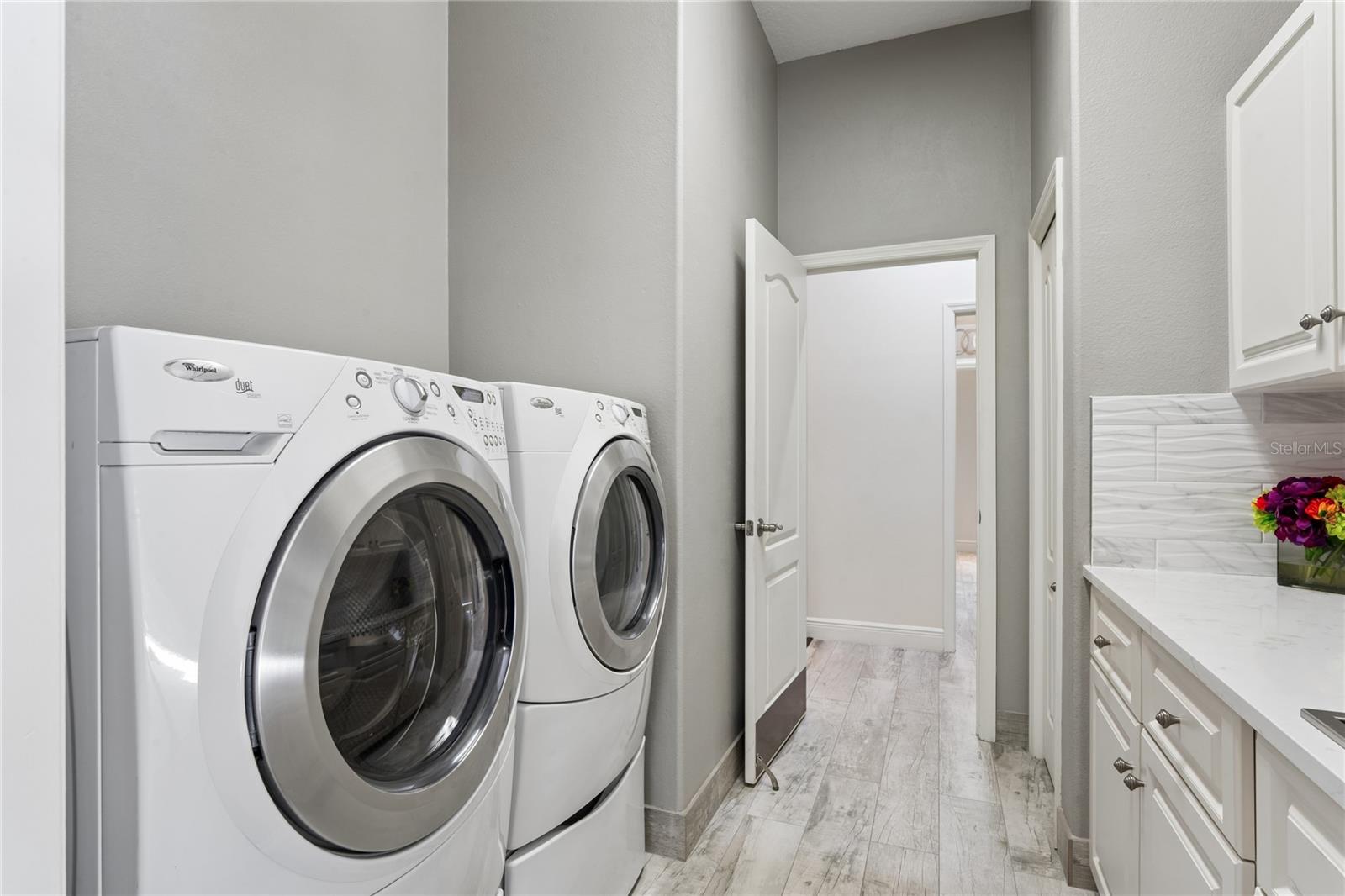 Image 62 of 71 For 10801 Alico Pass