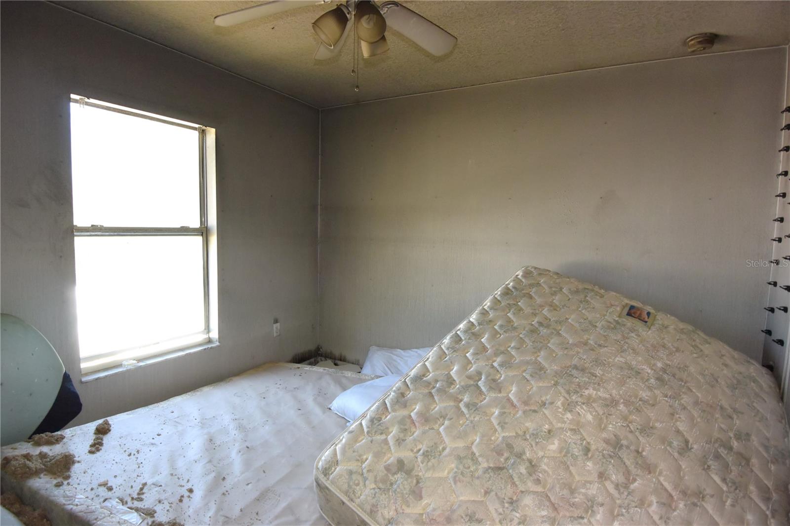 Image 19 of 29 For 7253 Lamplighter Street