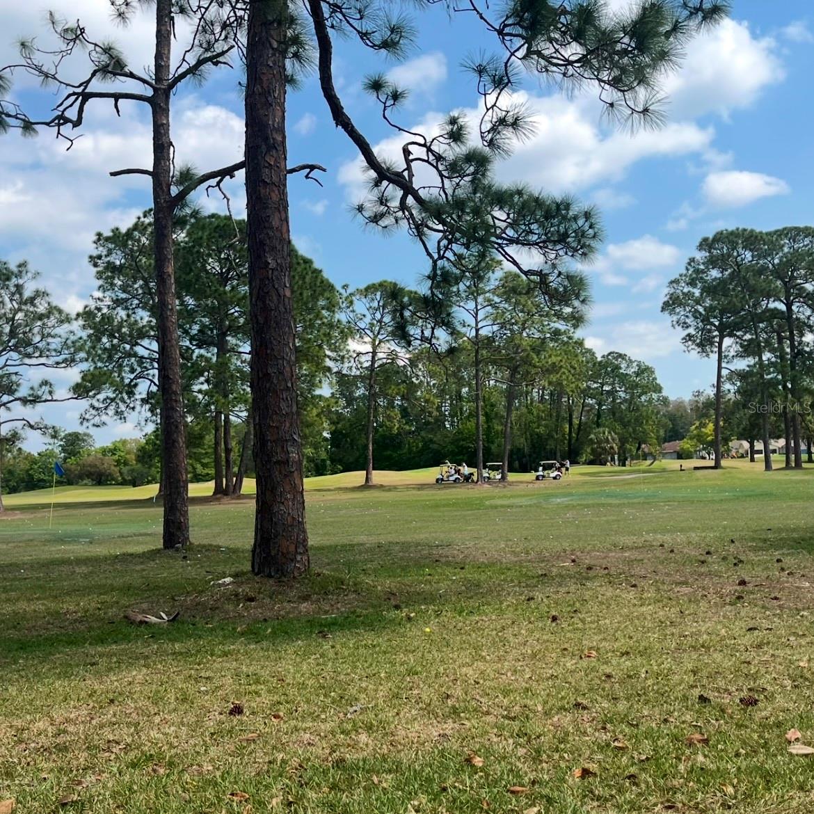 Image 35 of 41 For 11718 Bayonet Lane A