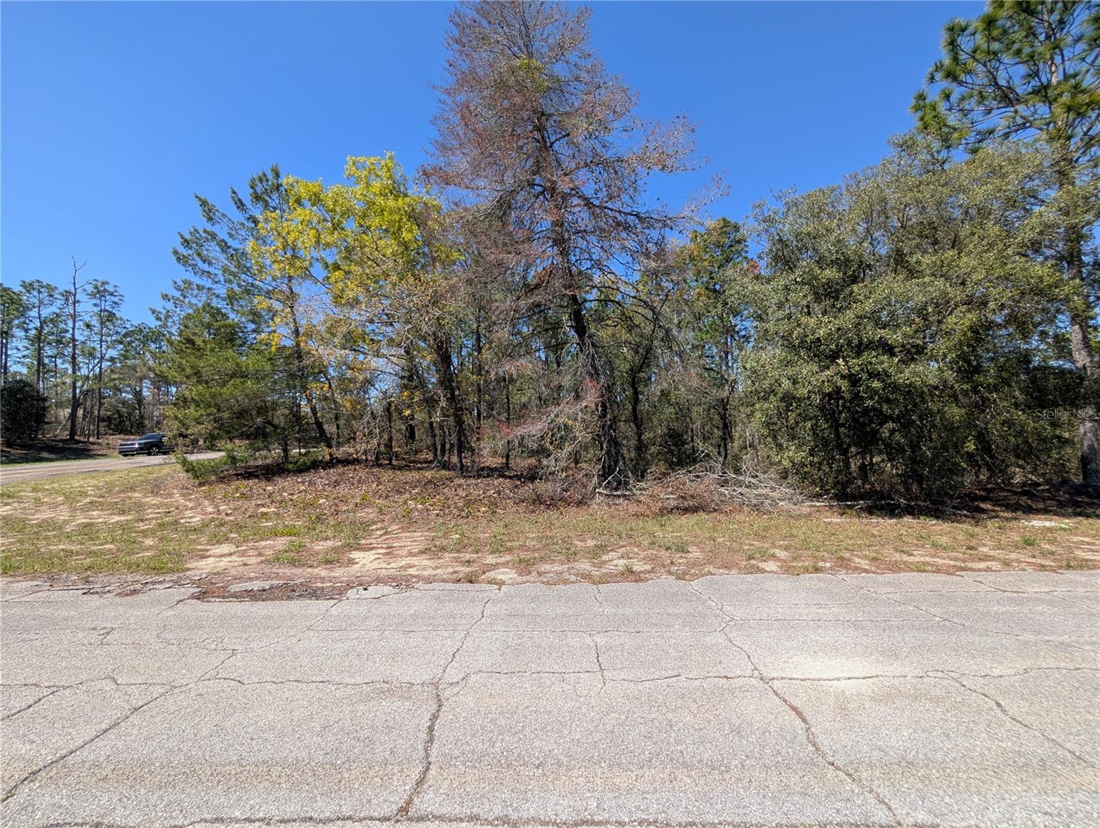 Image 3 of 4 For 3099 Wilhelm Street