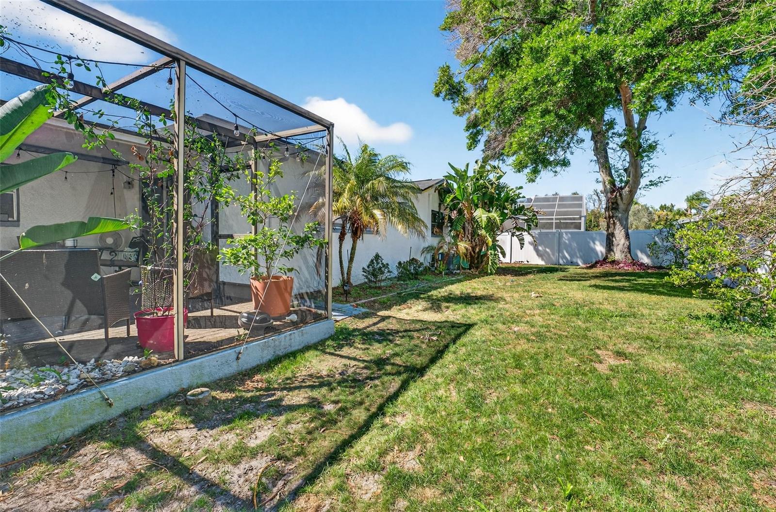 Image 35 of 37 For 1129 Forbes Trace