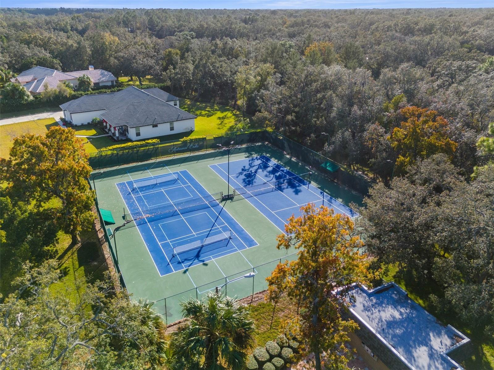 Image 84 of 90 For 18729 Bascomb Lane