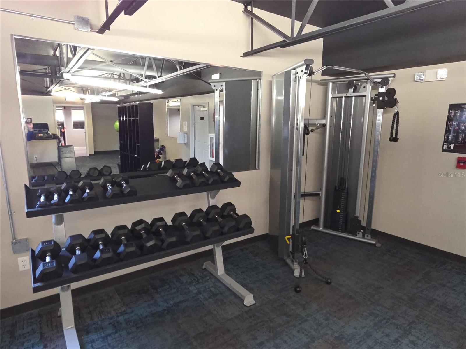 Image 31 of 39 For 11442 Turtle Dove Place