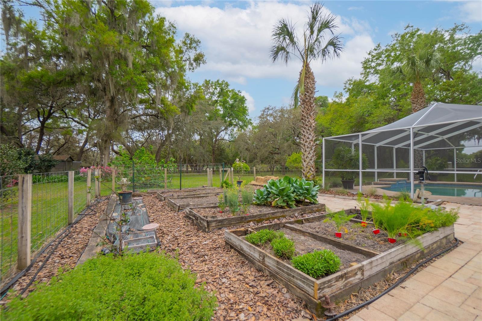 Image 49 of 66 For 9800 Regency Row