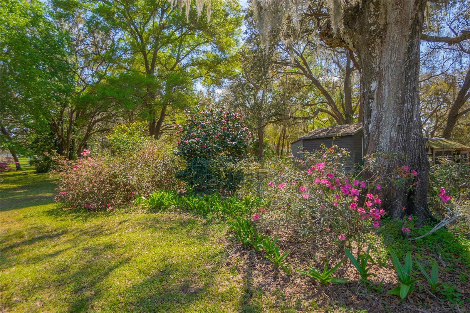 Image 51 of 66 For 9800 Regency Row