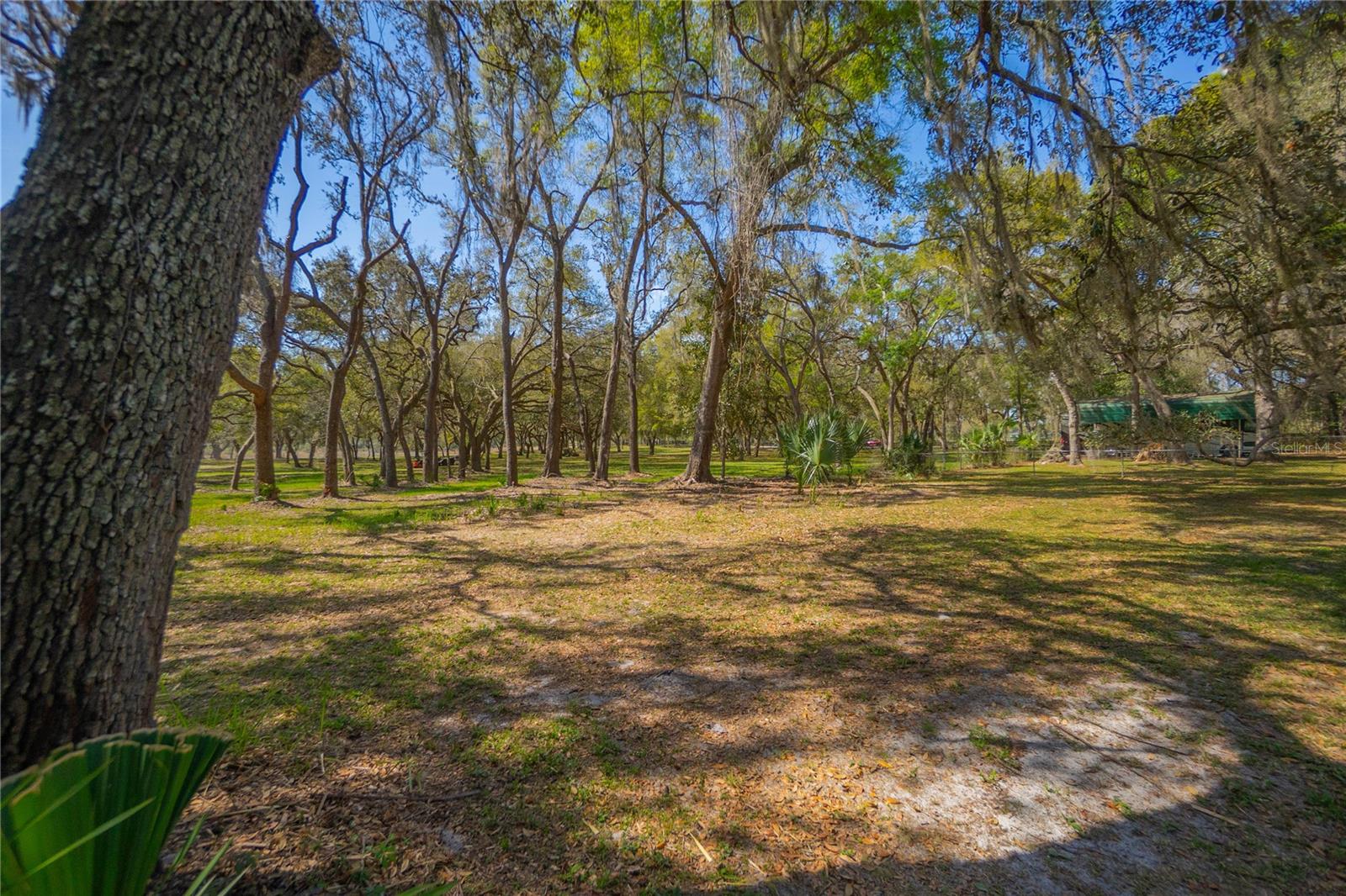 Image 58 of 66 For 9800 Regency Row