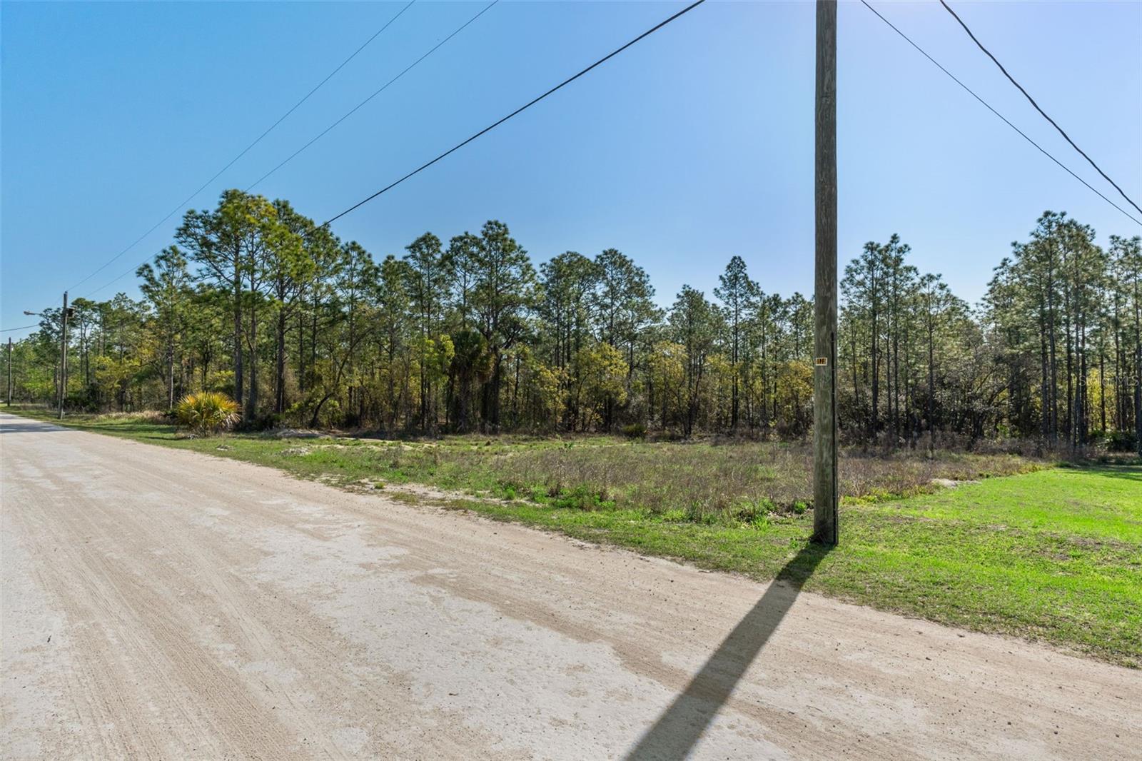 Image 11 of 11 For 12348 Snowy Egret Avenue