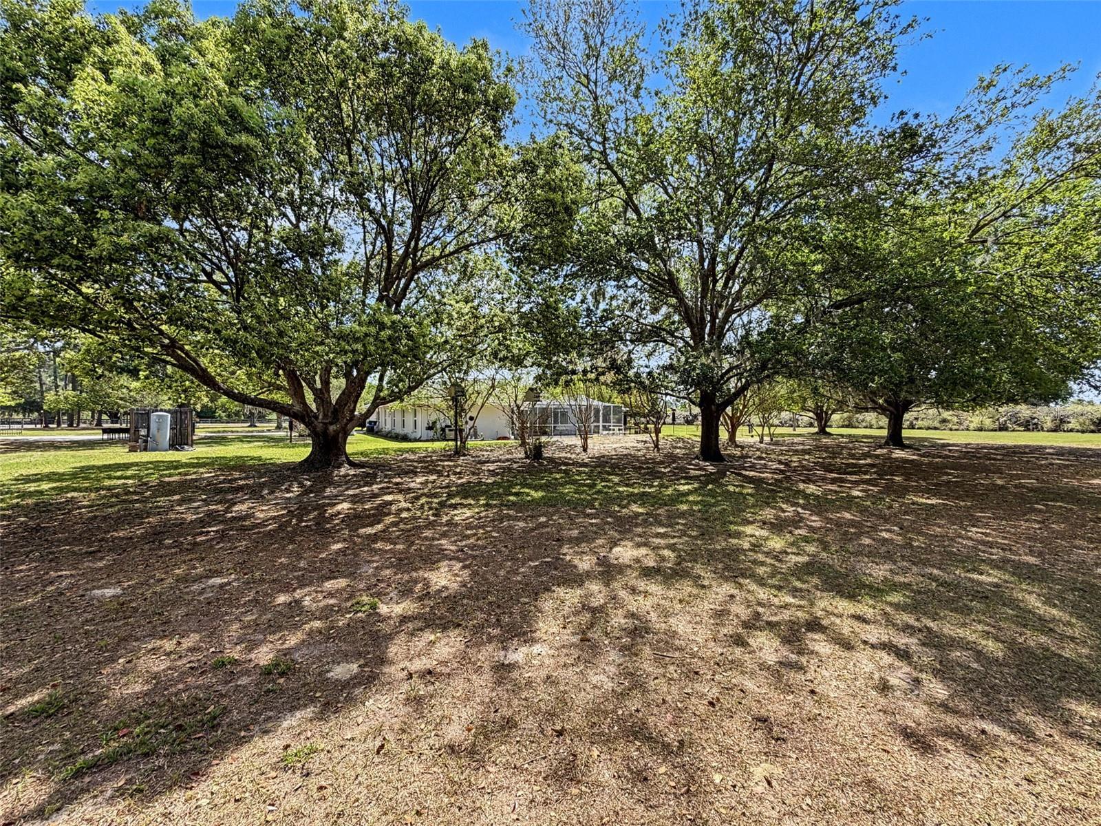 Image 69 of 86 For 4221 Neff Lake Road