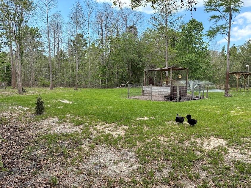 Image 32 of 46 For 7161 Schering Street