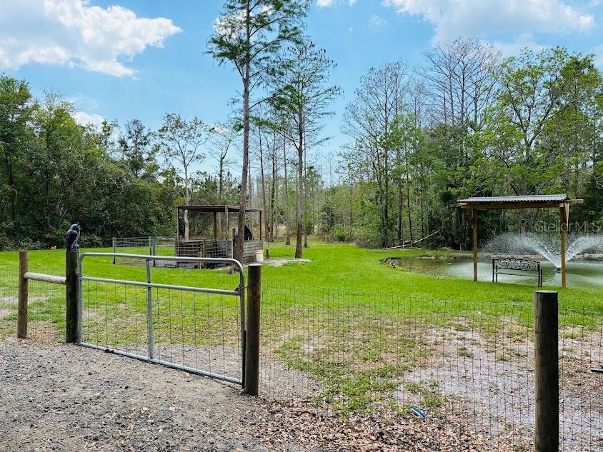 Image 33 of 46 For 7161 Schering Street