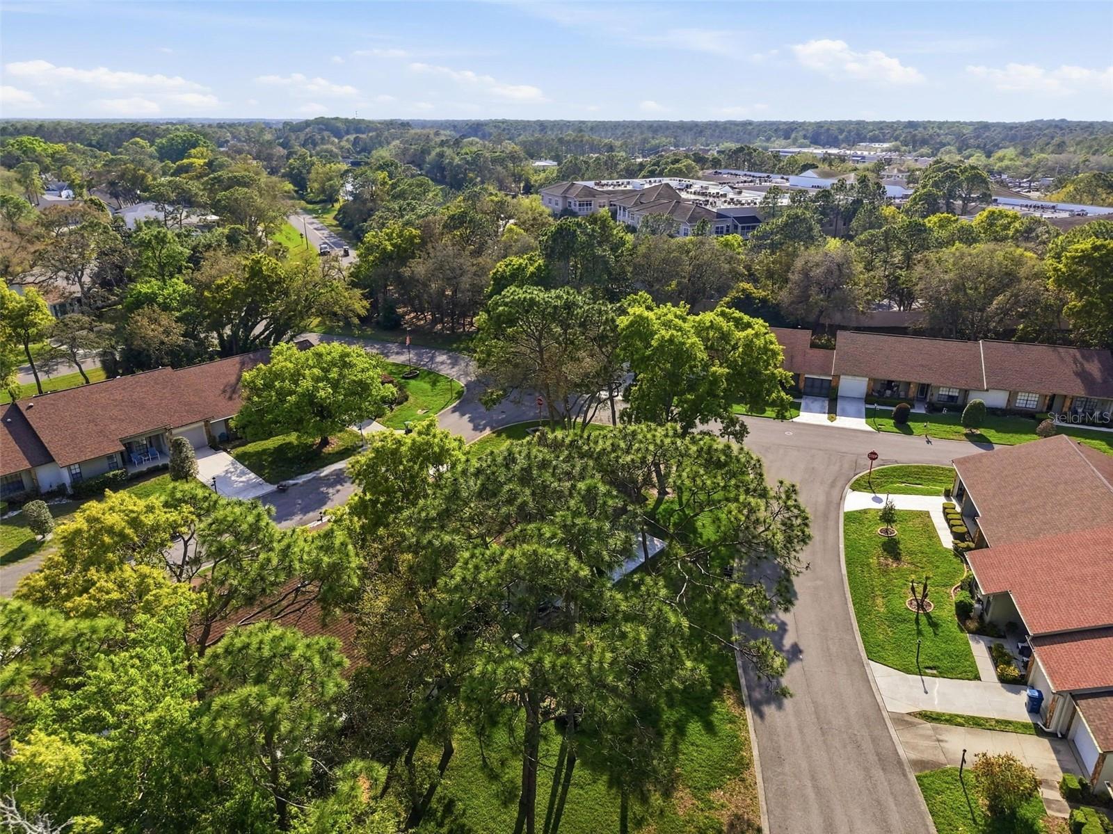 Image 35 of 37 For 6575 Brambleleaf Drive