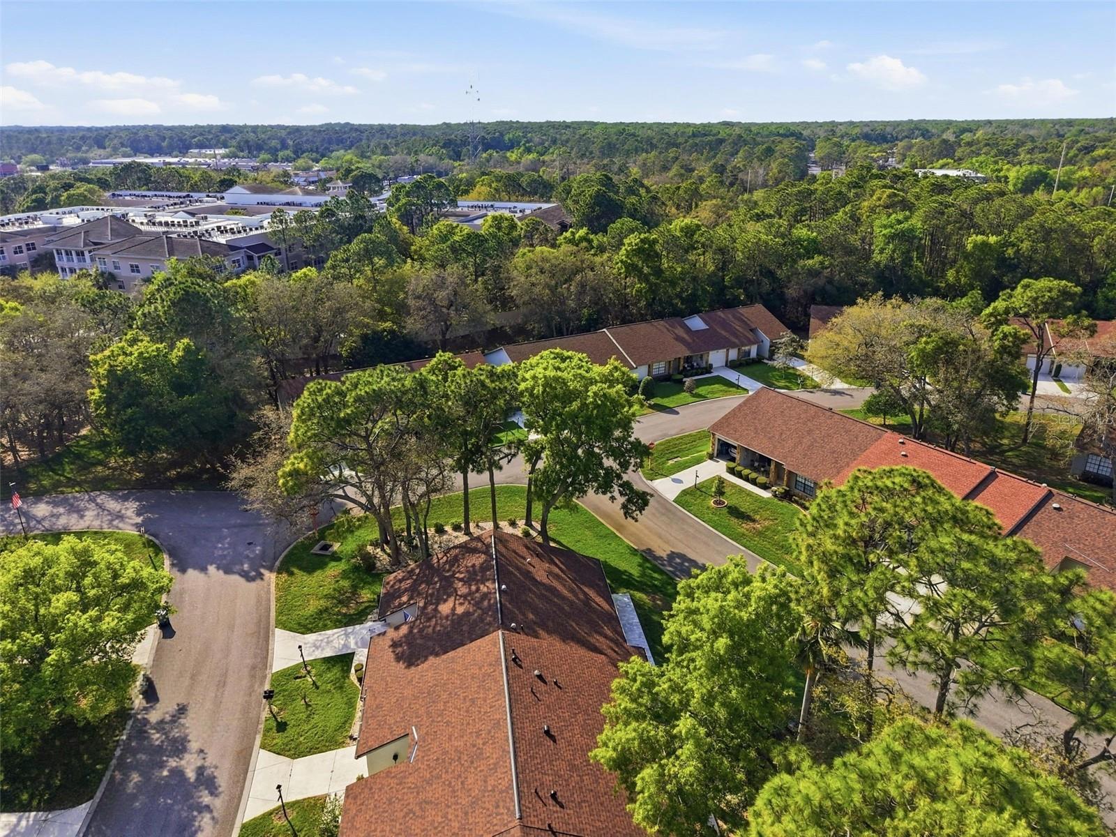 Image 37 of 37 For 6575 Brambleleaf Drive